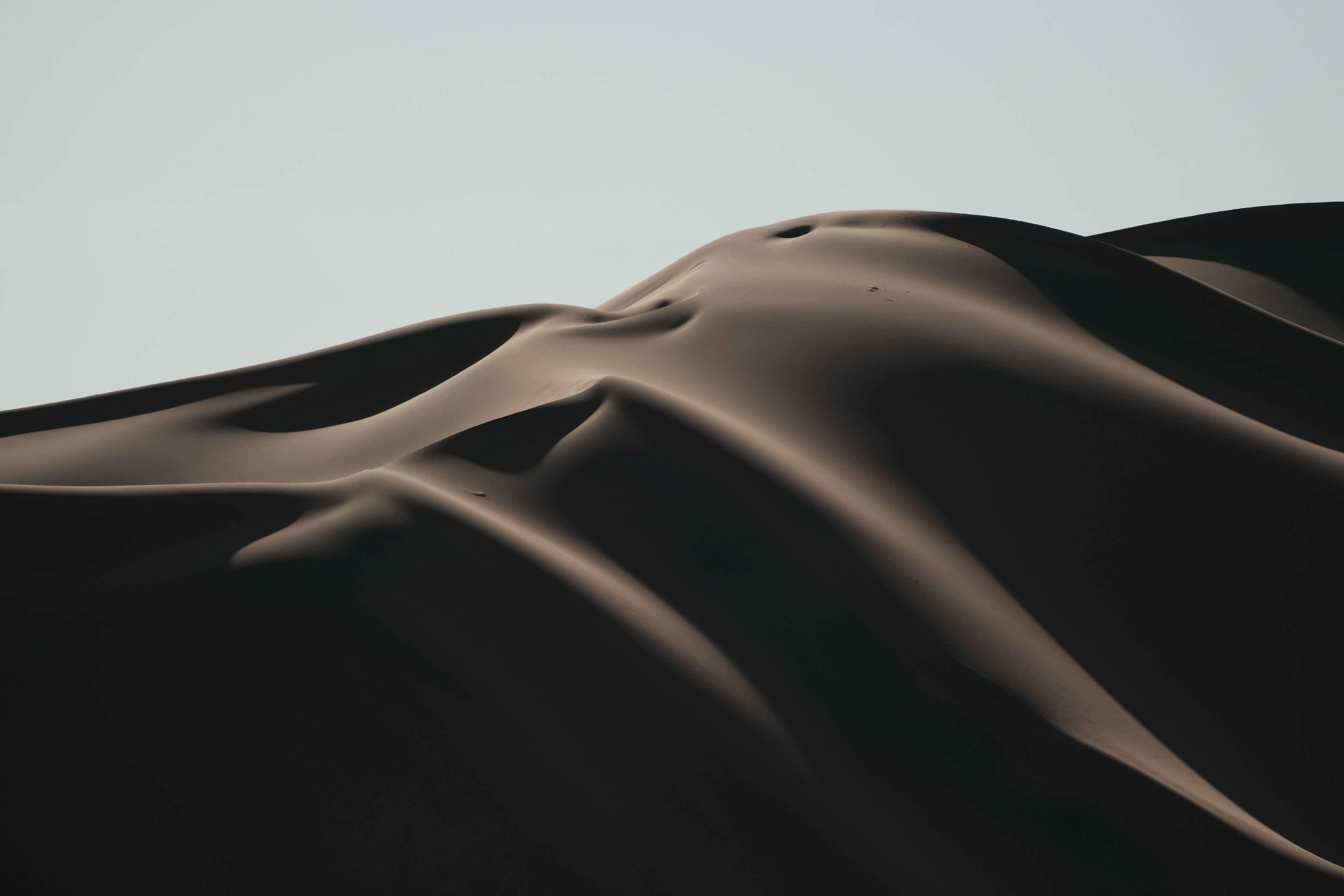 5è premi categoria web: Majestuositat de les dunes de Namíb · Namíbia. FOTO: Marta Cavestany Ribas.