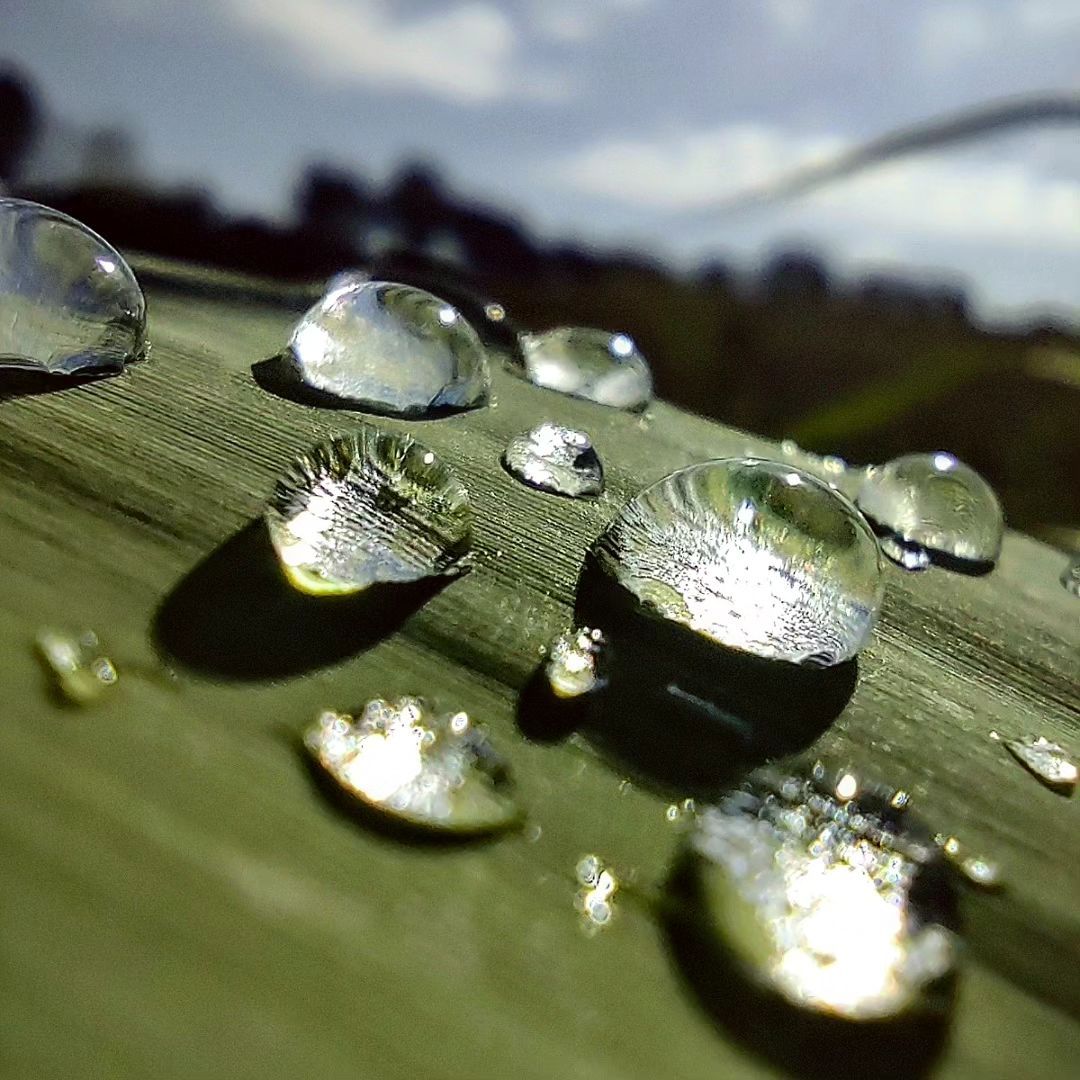 6è premi categoria Instagram: Després de la pluja. After rainning. AUTOR: @with_many_colors