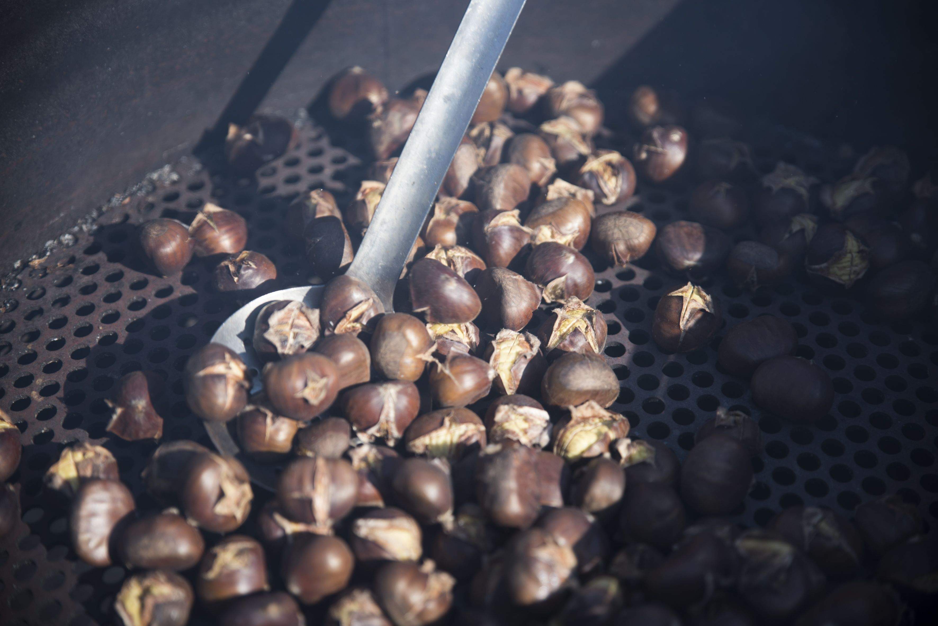Castahalloween de les instal·lacions de Cerdanyola de Catalònia Fundació Creactiva. FOTO: Bernat Millet
