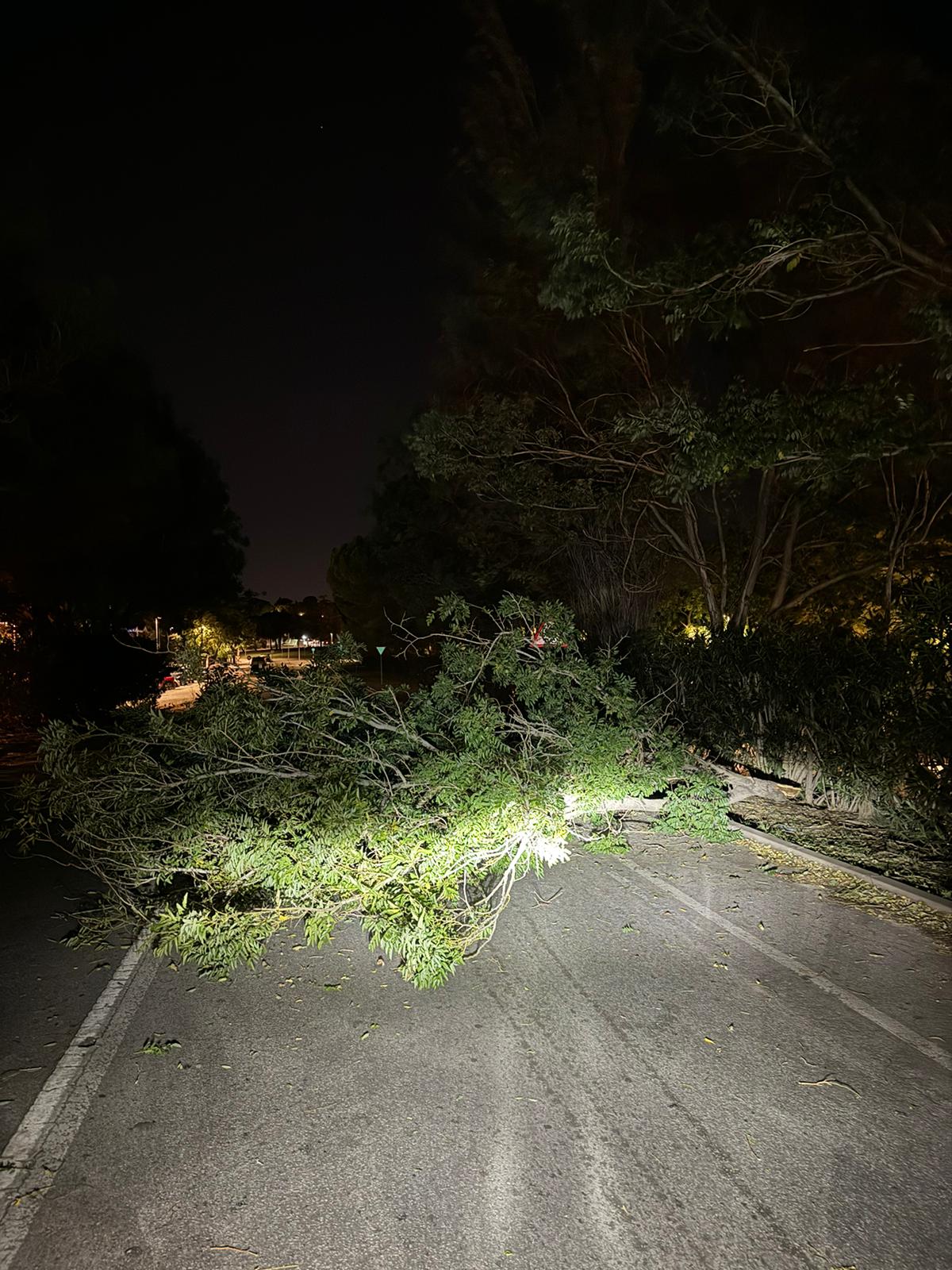 3fe1fd8e b980 41be 8be7 7a8fab4bd3f0