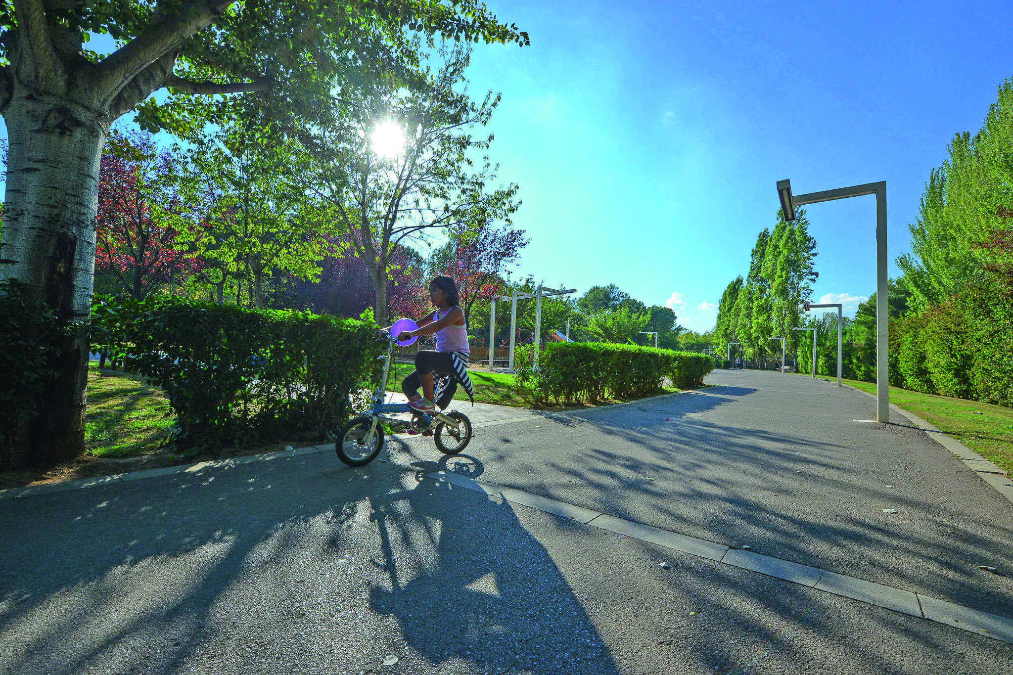 El Parc Central destaca per ser un pulmó verd de la ciutat FOTO: Cedida