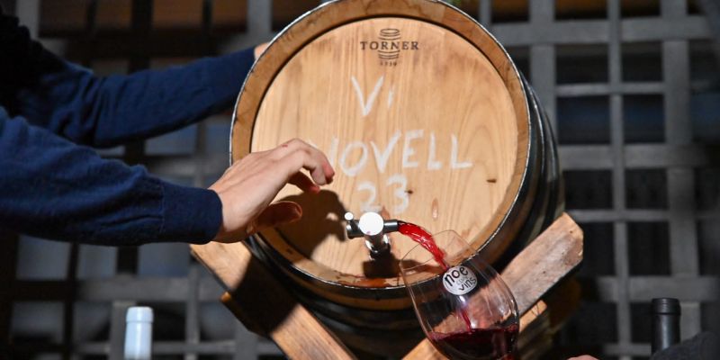 WhatsApp Image 2023 11 11 at 18.42.35