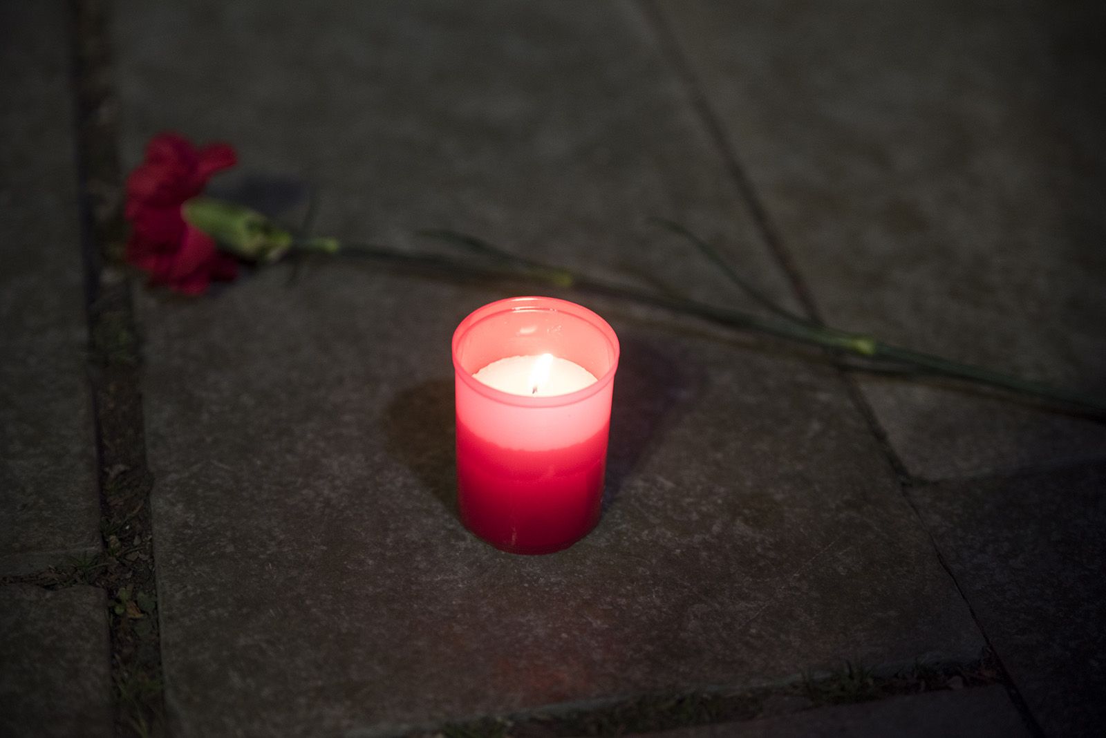 Manifestació Feminista contra les violències masclistes del 25-N. FOTO: Bernat Millet.