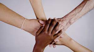 Projecte Lliures FOTO: Cedida