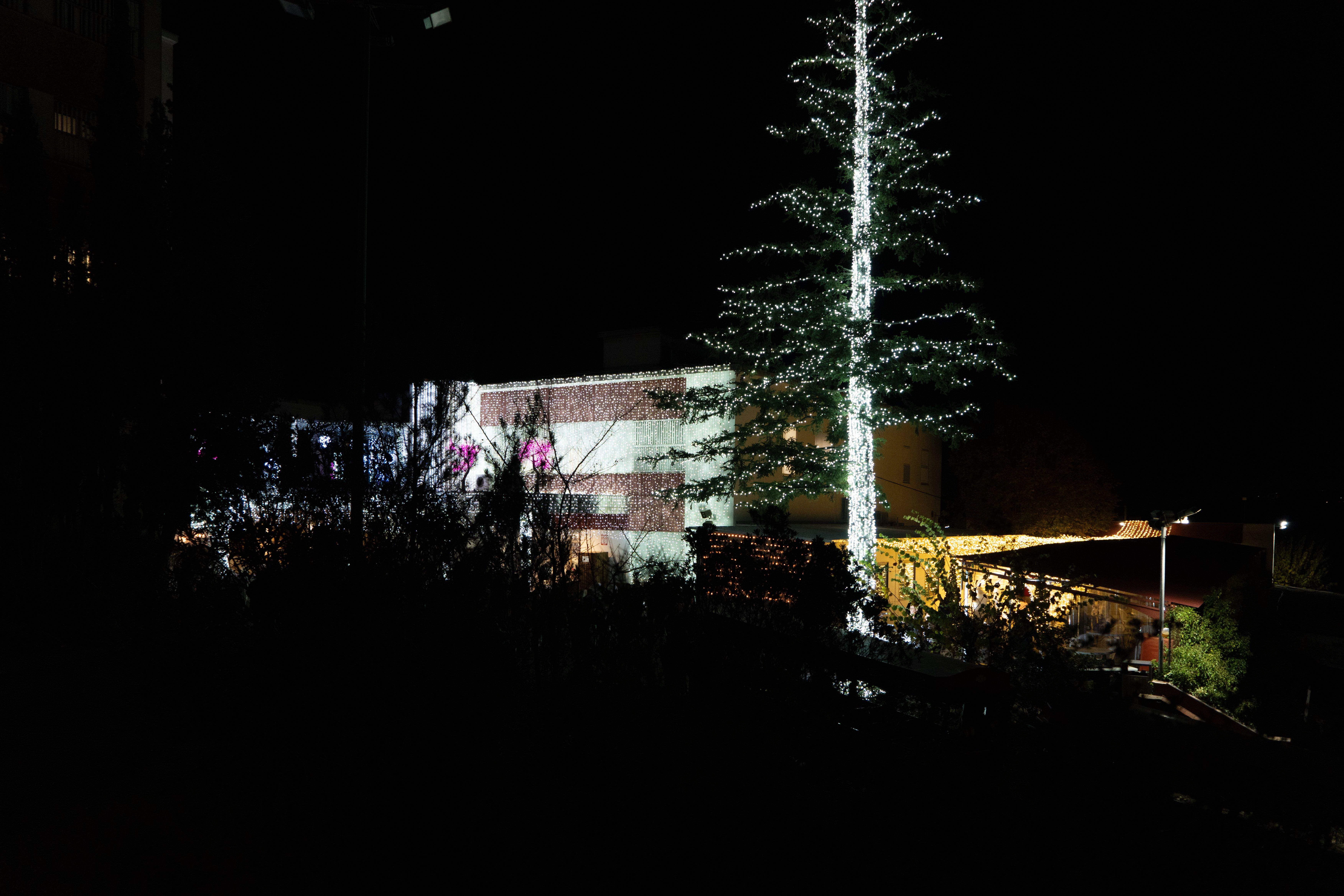 Encesa de llums a Catalònia Fundació Creactiva. FOTO: Carme de Olazabal