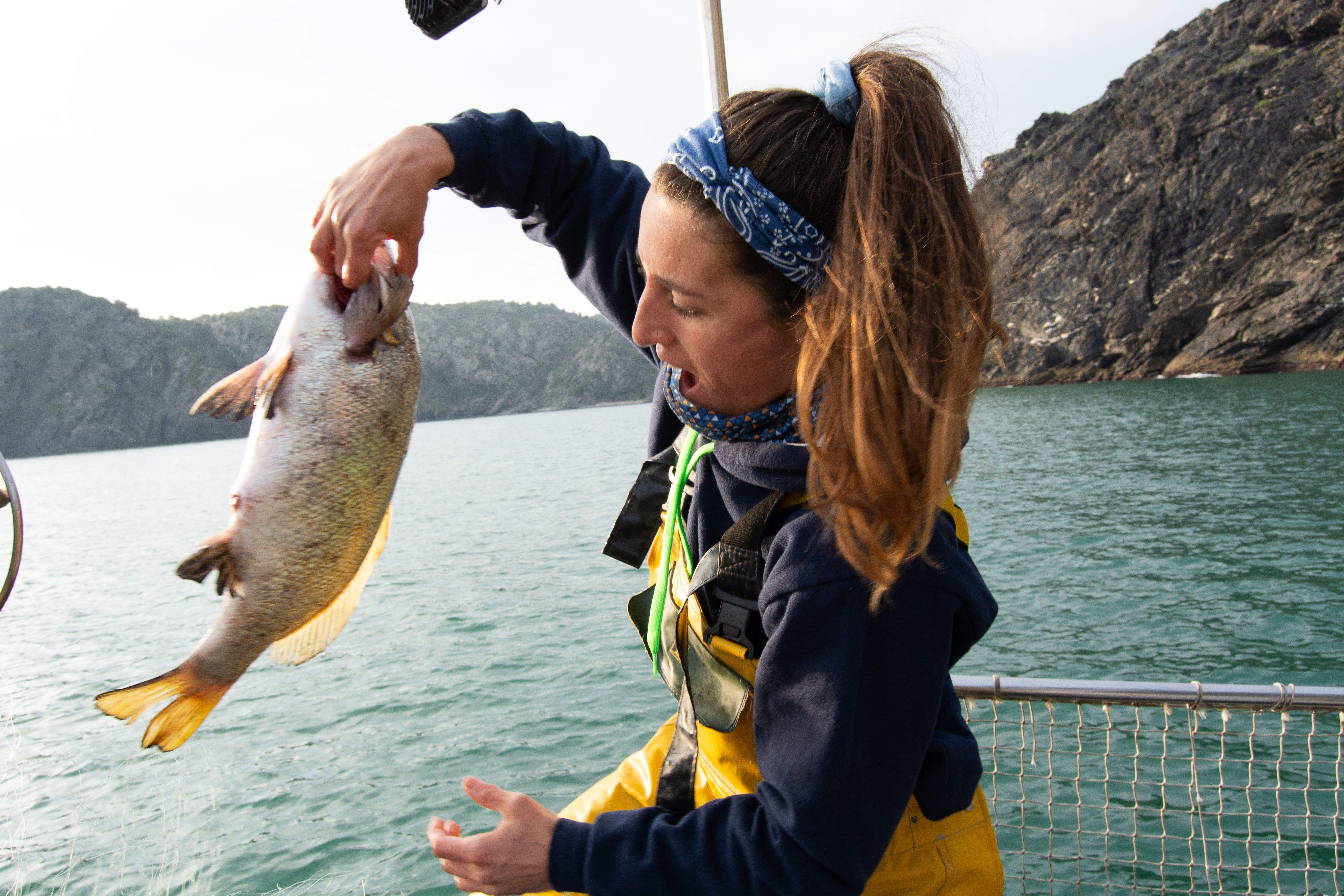 A Catalunya hi ha més de 50 espècies de peixos que es poden cuinar de manera molt fàcil i que són deliciosos. FOTO: Departament d’Acció Climàtica, Alimentació i Agenda Rural