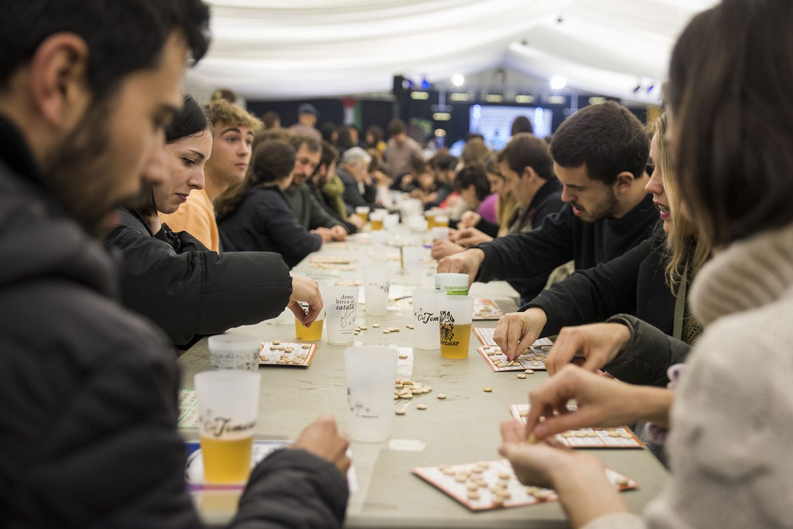 Quinto de Nadal. FOTO: Bernat Millet.