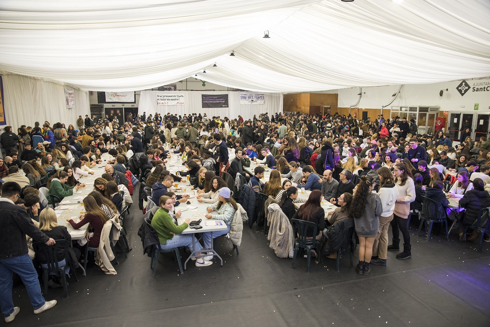 Quinto de Nadal. FOTO: Bernat Millet.