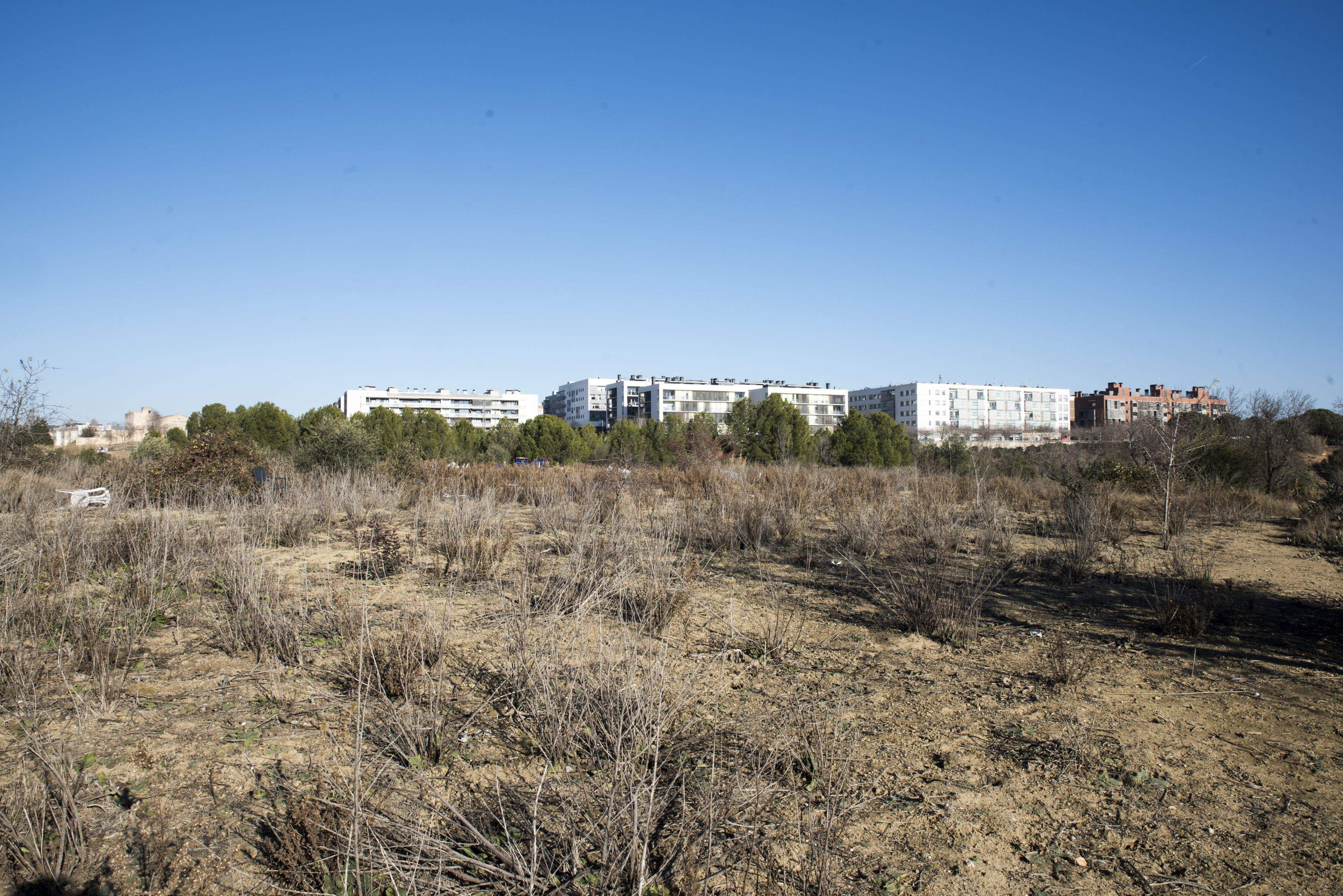 Parcel·la on el govern vol que es construeixi La Mirada FOTO: Bernat Millet