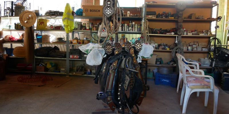 Guarnicions de cavalls per als Tres Tombs. FOTO: TOT