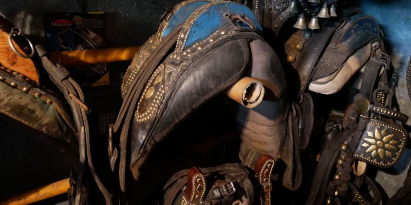 Silló centenari cedit per Cal Saperas. FOTO: TOT