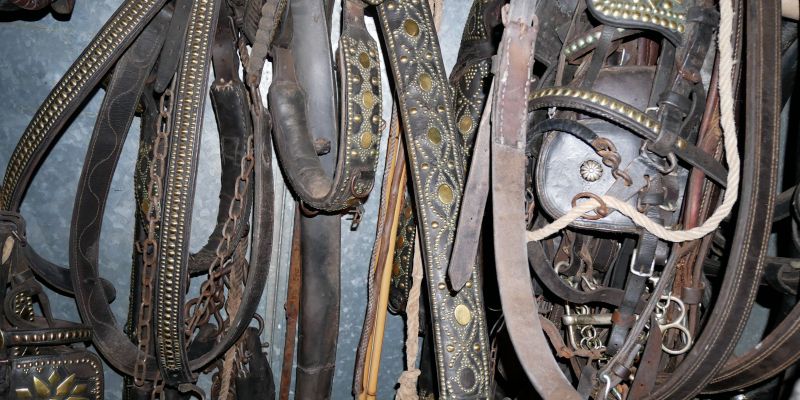 Tirants centenaris cedits per la família Saperas. FOTO: TOT