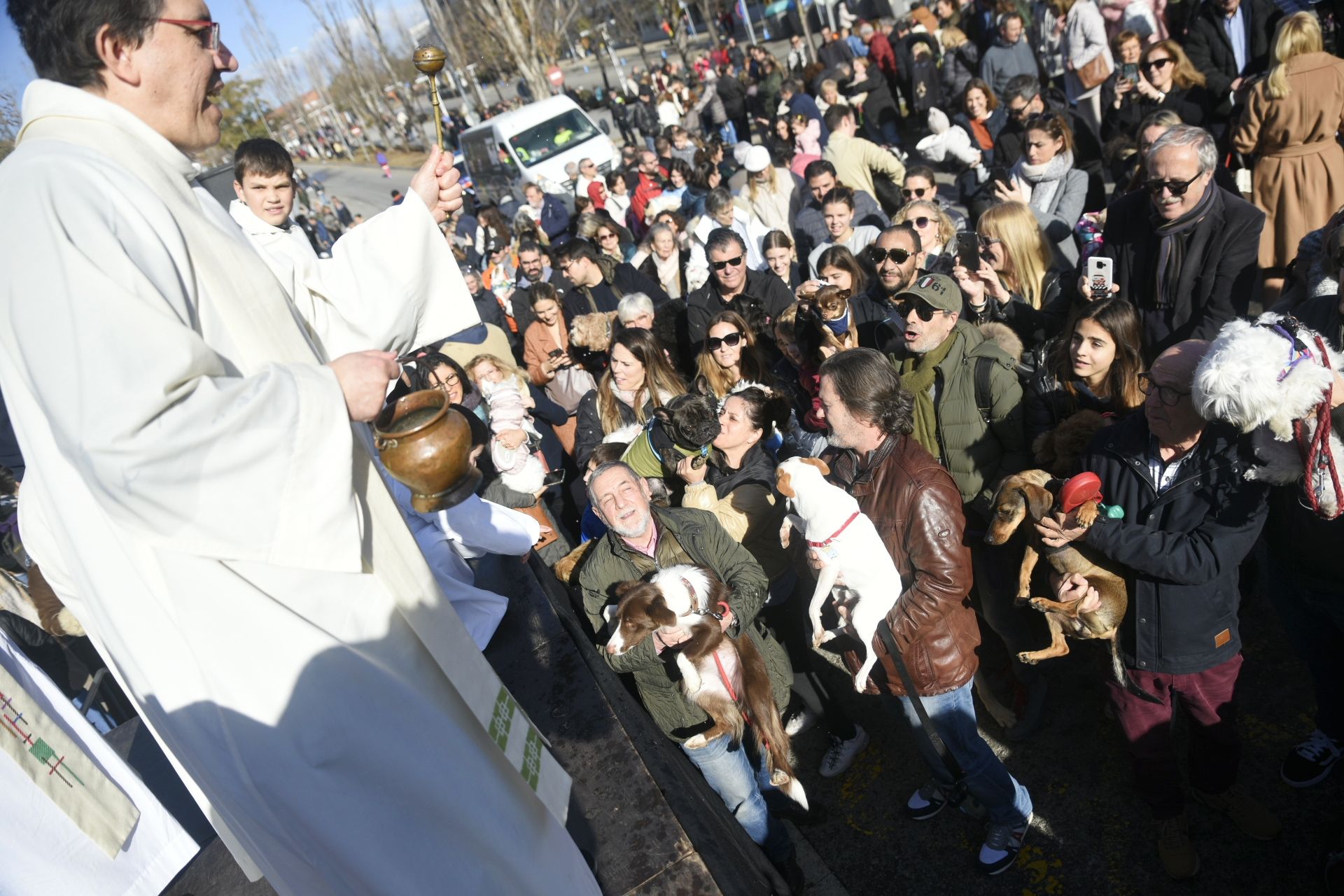 La Rua dels Tres Tombs durant Sant Antoni Abat 2024. FOTO: Bernat Millet