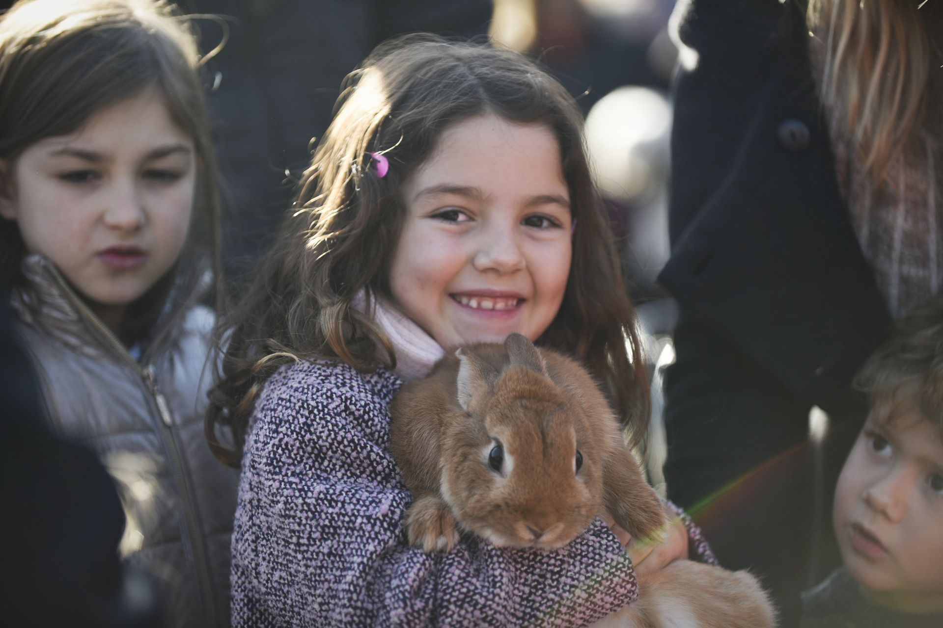 La Rua dels Tres Tombs durant Sant Antoni Abat 2024. FOTO: Bernat Millet