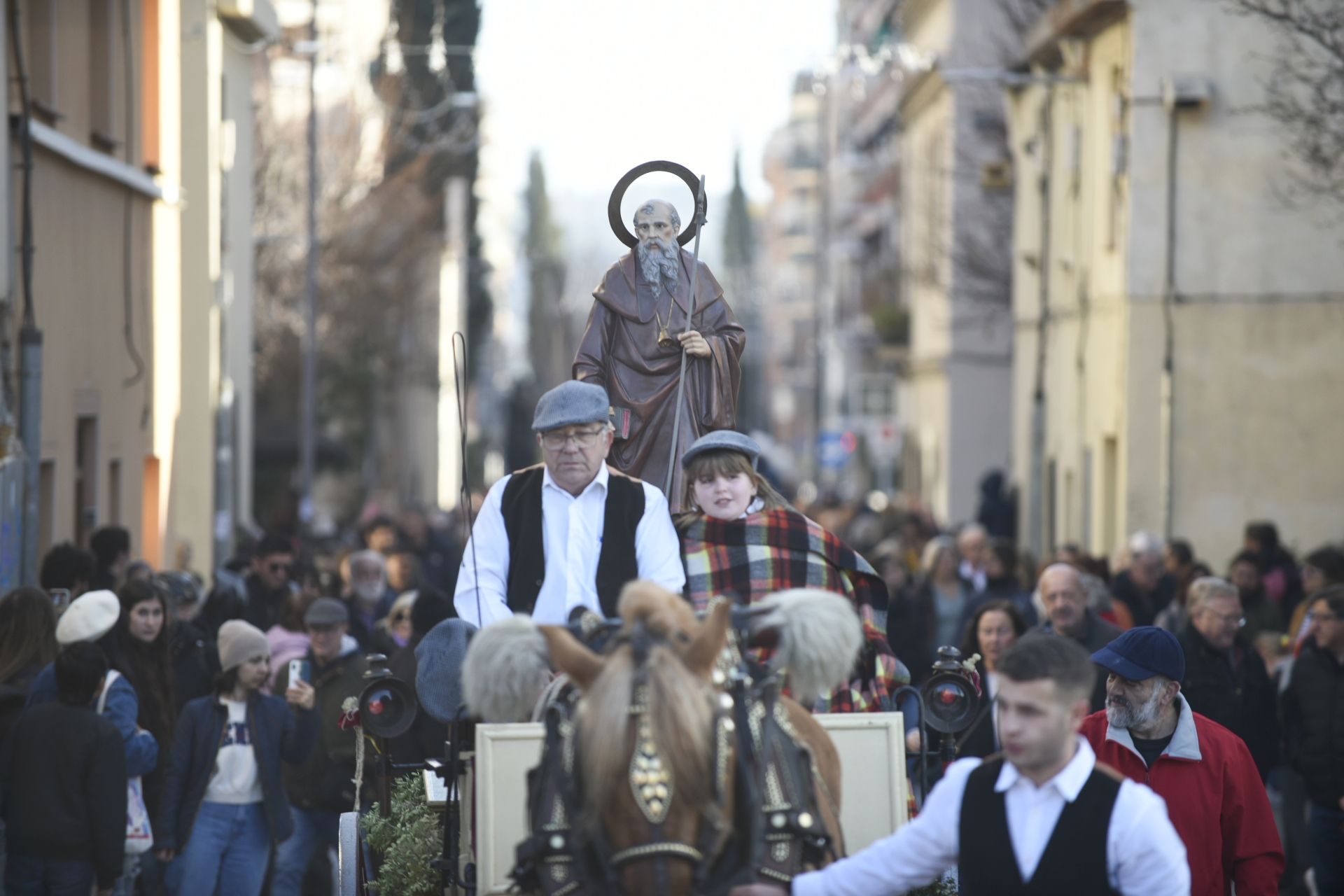 La Rua dels Tres Tombs durant Sant Antoni Abat 2024. FOTO: Bernat Millet
