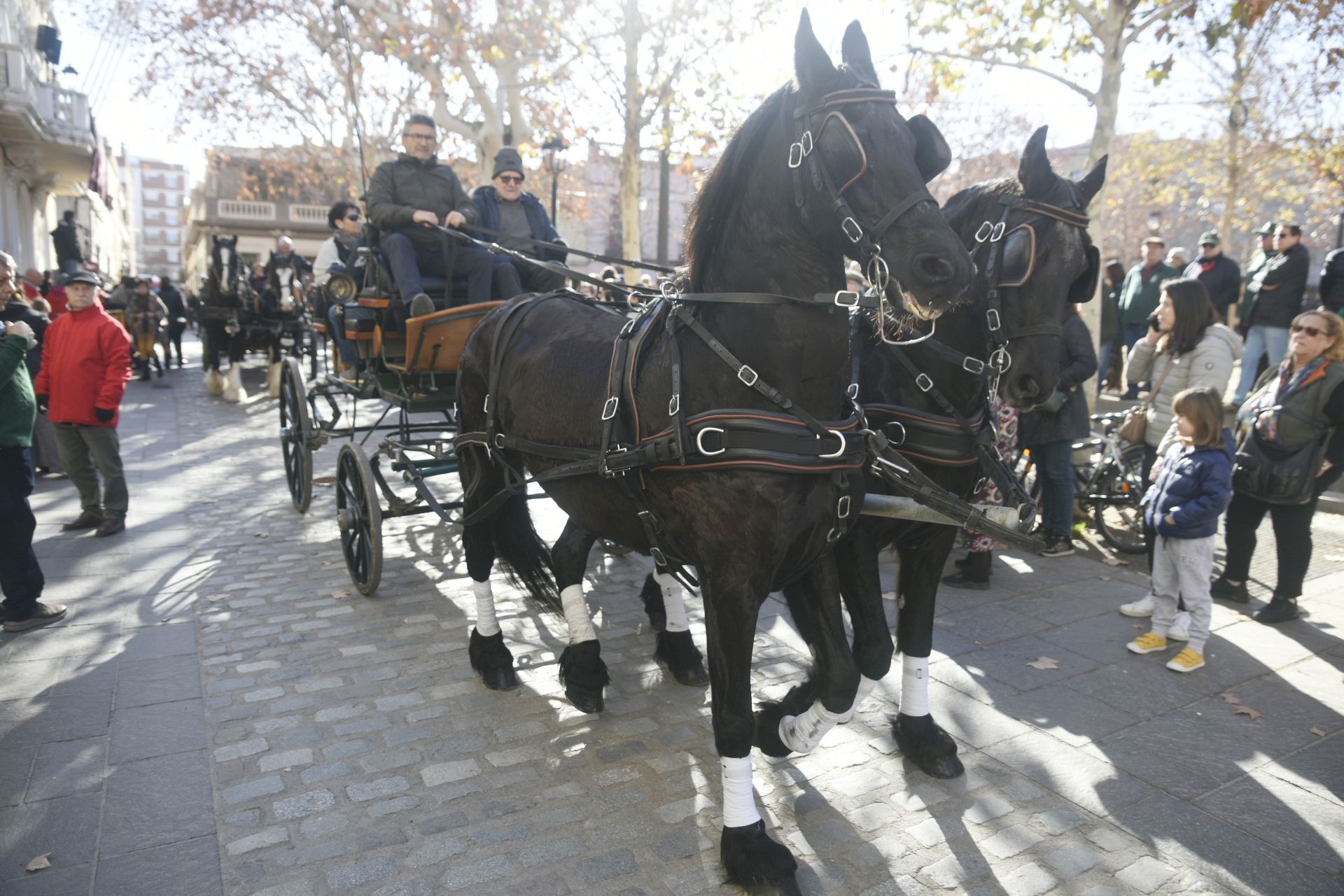 La Rua dels Tres Tombs durant Sant Antoni Abat 2024. FOTO: Bernat Millet
