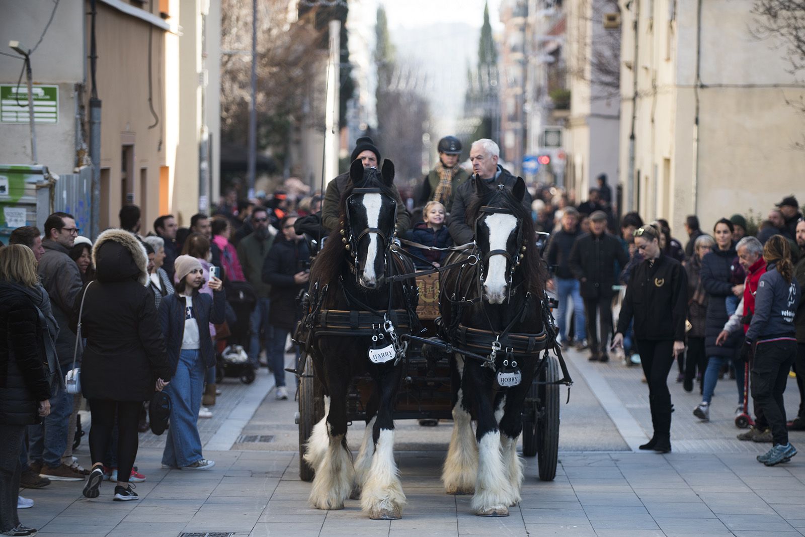 La Rua dels Tres Tombs durant Sant Antoni Abat 2024. FOTO: Bernat Millet