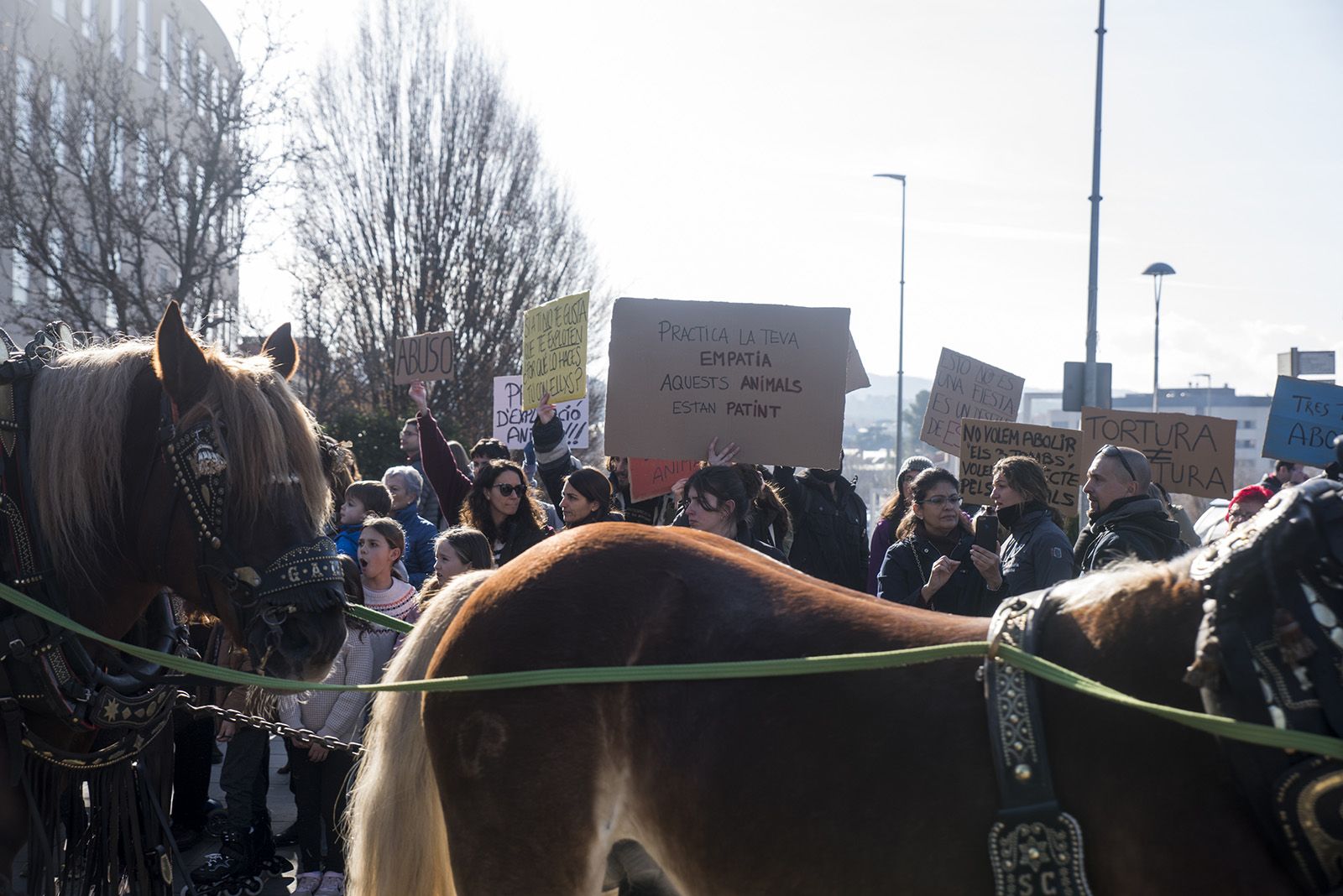 La Rua dels Tres Tombs durant Sant Antoni Abat 2024. FOTO: Bernat Millet