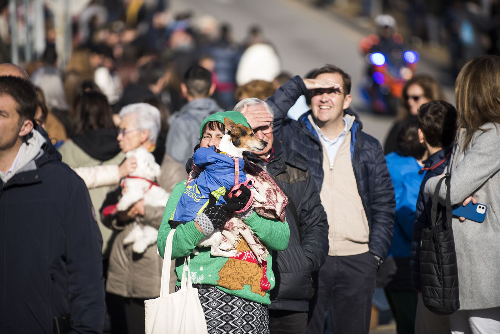 La Rua dels Tres Tombs durant Sant Antoni Abat 2024. FOTO: Bernat Millet