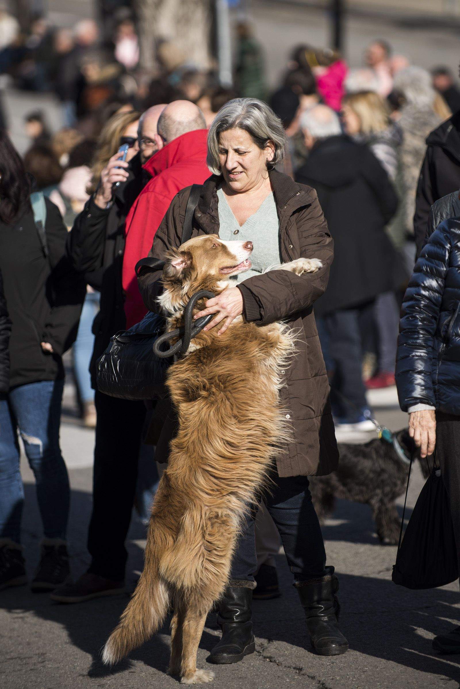 La Rua dels Tres Tombs durant Sant Antoni Abat 2024. FOTO: Bernat Millet