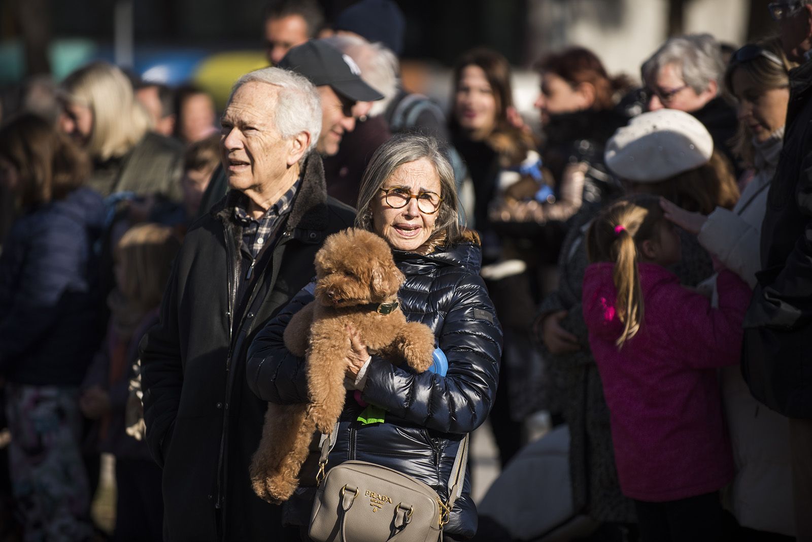 La Rua dels Tres Tombs durant Sant Antoni Abat 2024. FOTO: Bernat Millet