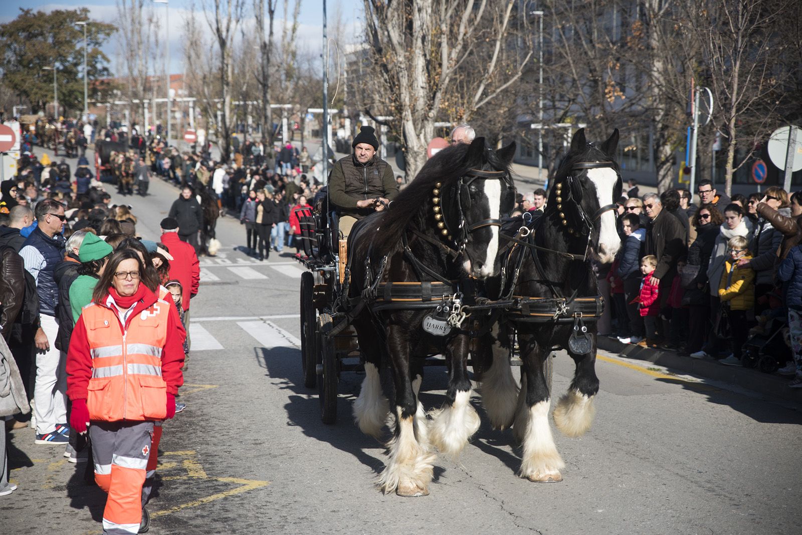 La Rua dels Tres Tombs durant Sant Antoni Abat 2024. FOTO: Bernat Millet