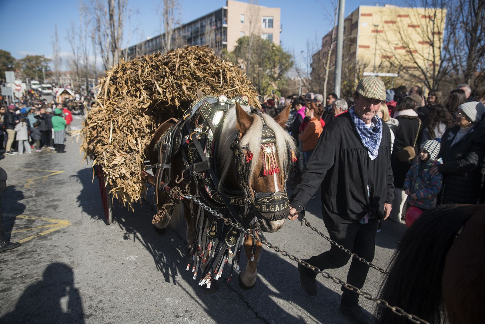 La Rua dels Tres Tombs durant Sant Antoni Abat 2024. FOTO: Bernat Millet