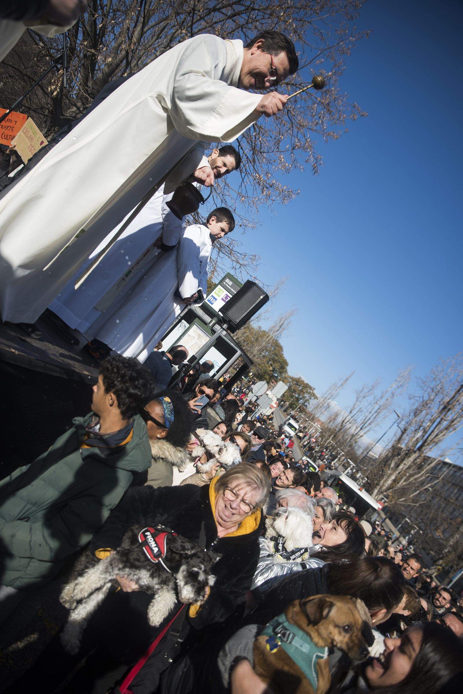 La Rua dels Tres Tombs durant Sant Antoni Abat 2024. FOTO: Bernat Millet