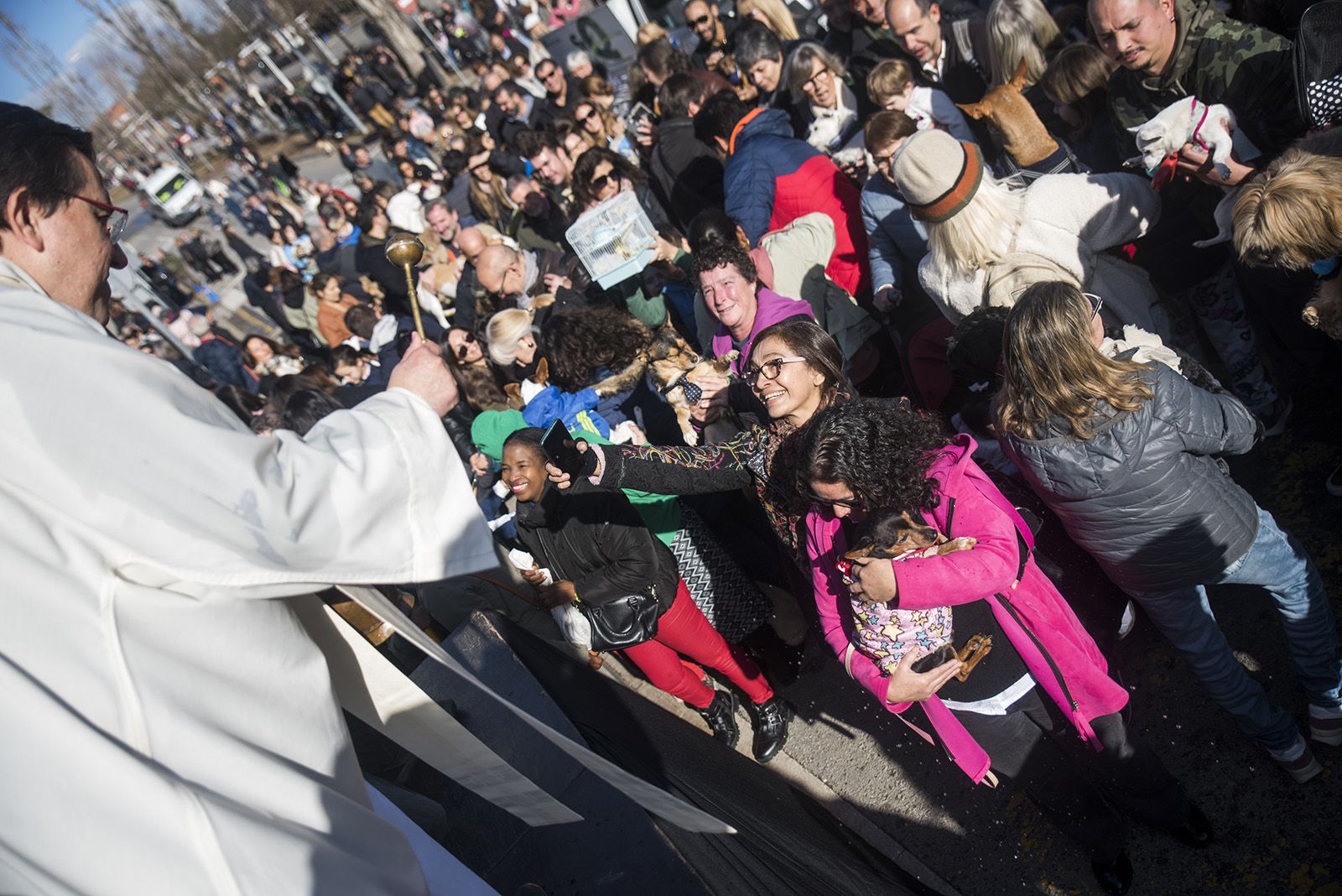 La Rua dels Tres Tombs durant Sant Antoni Abat 2024. FOTO: Bernat Millet