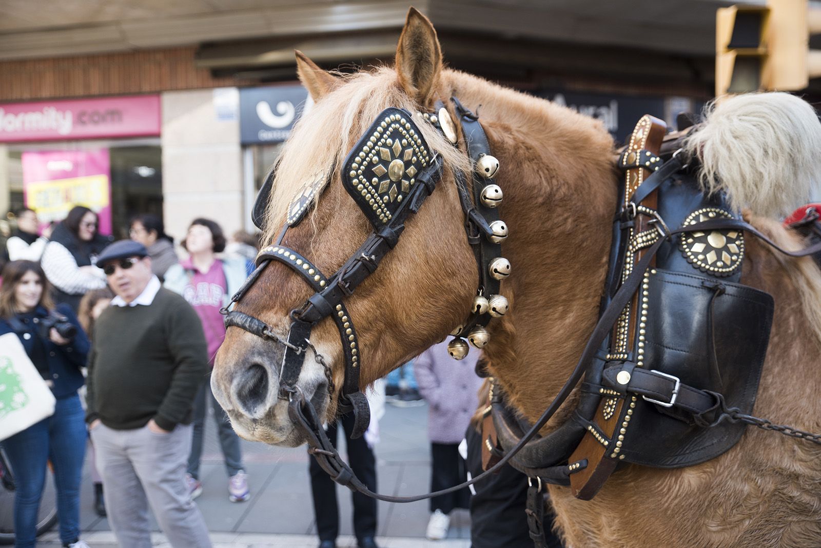 La Rua dels Tres Tombs durant Sant Antoni Abat 2024. FOTO: Bernat Millet