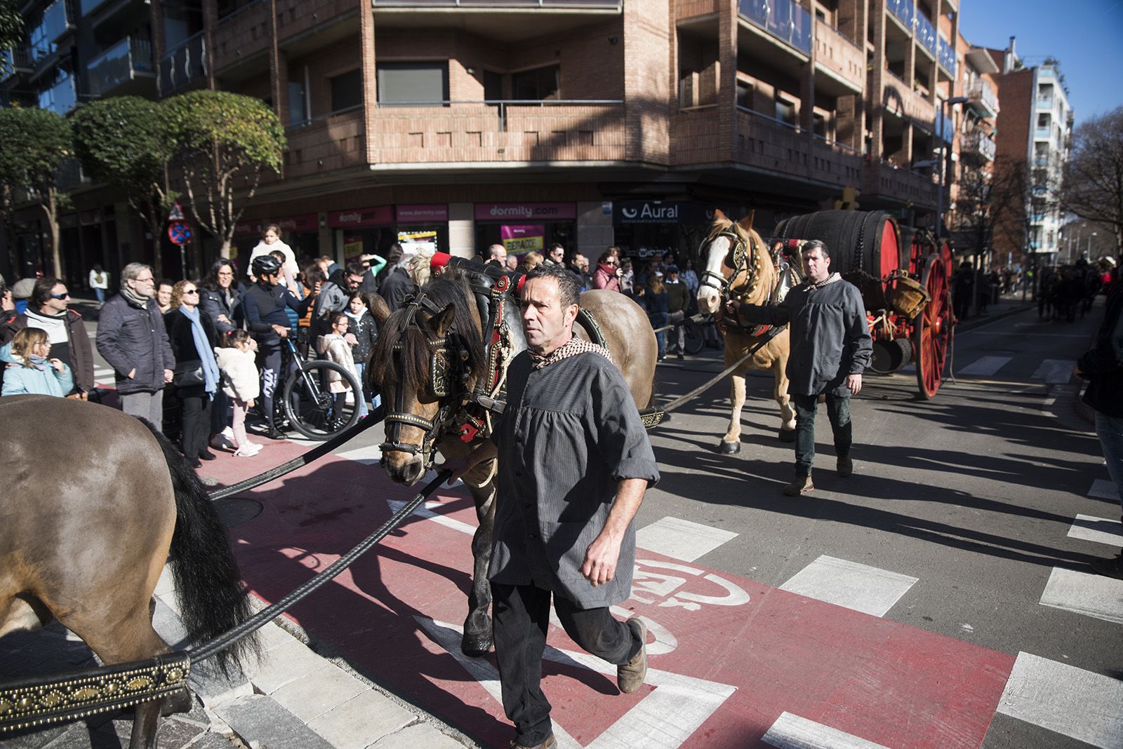 La Rua dels Tres Tombs durant Sant Antoni Abat 2024. FOTO: Bernat Millet