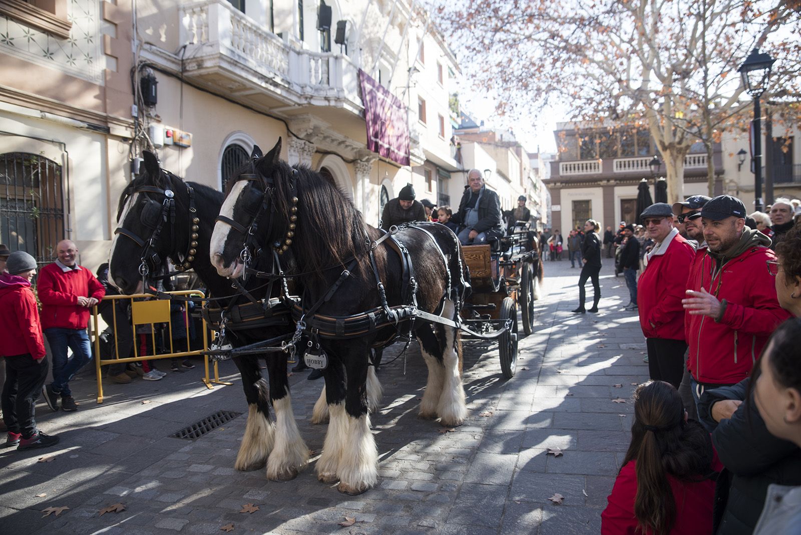 La Rua dels Tres Tombs durant Sant Antoni Abat 2024. FOTO: Bernat Millet
