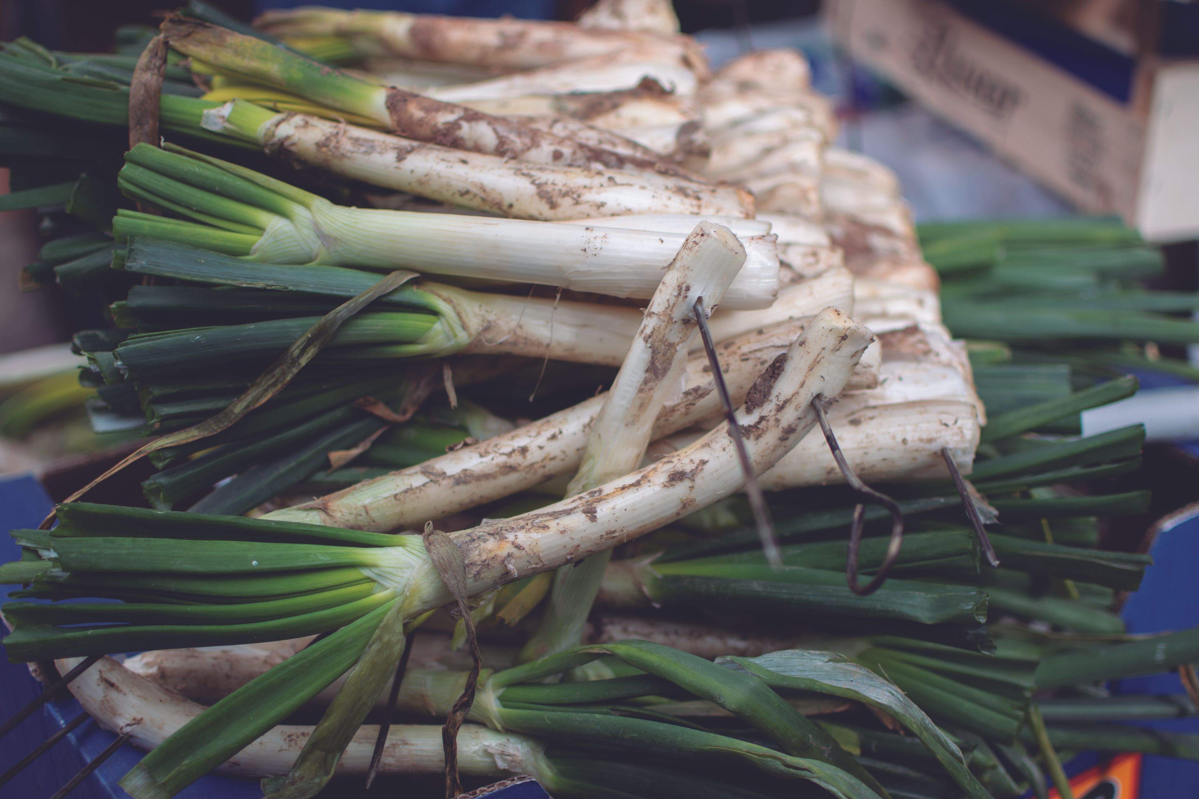 Els calçots de TOT BO tenen una qualitat excel·lent. FOTO: Cedida