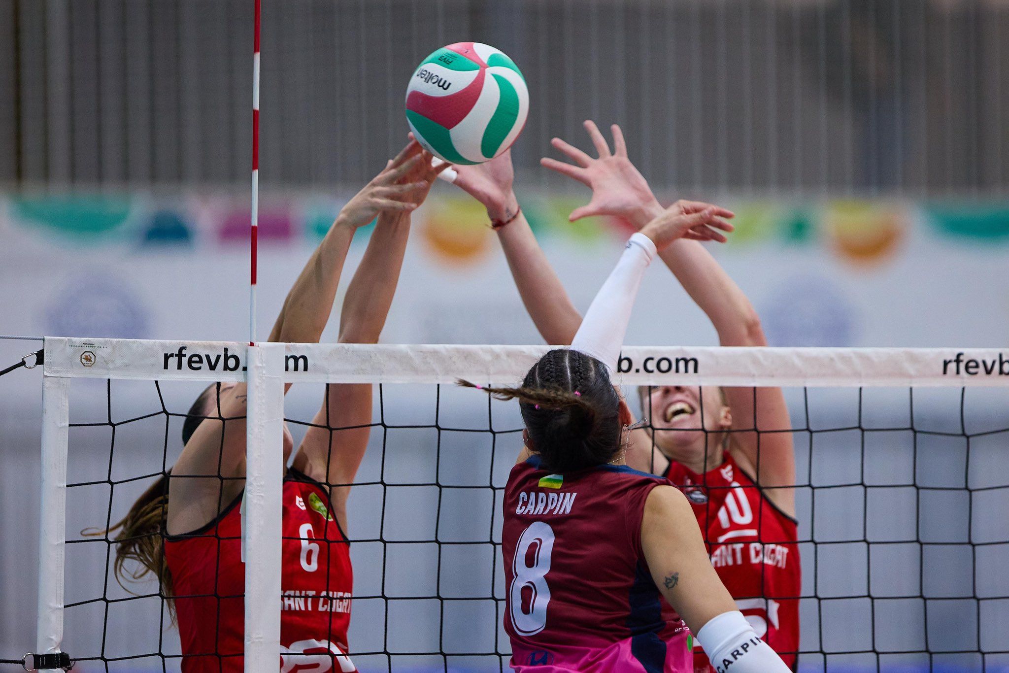 Triomf del DSV Club Voleibol Sant Cugat davant de l'OCISA Haro Rioja Vóley en els quarts de final de la Copa de la Reina. FOTO: Twitter @CAVEsquimo