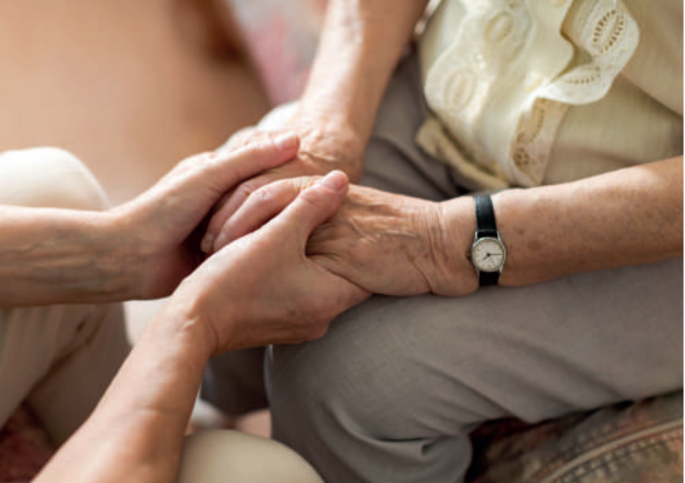 llei de la gent gran