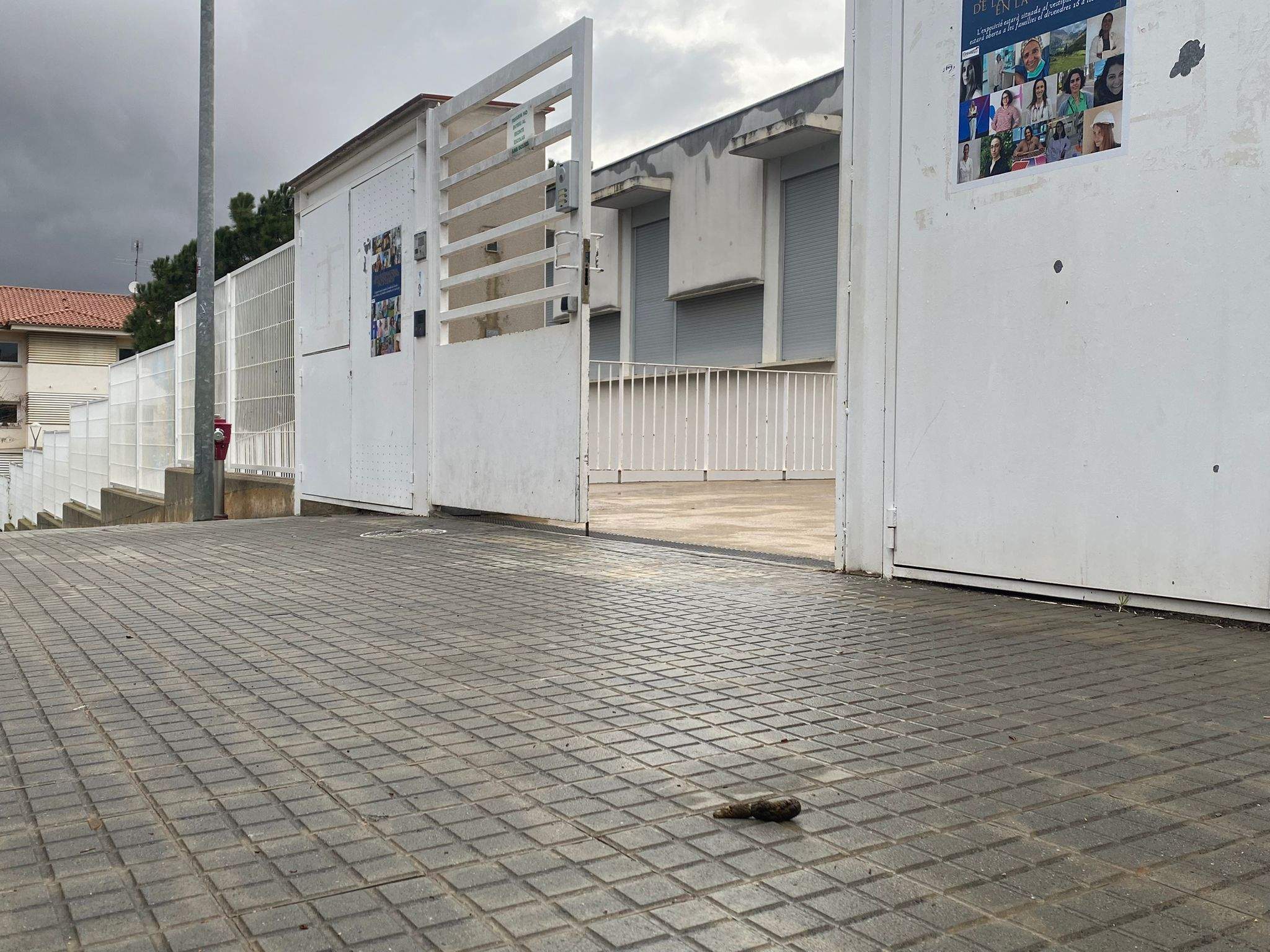 Pi d’en Xandri FOTO: Raquel Alonso Blanco