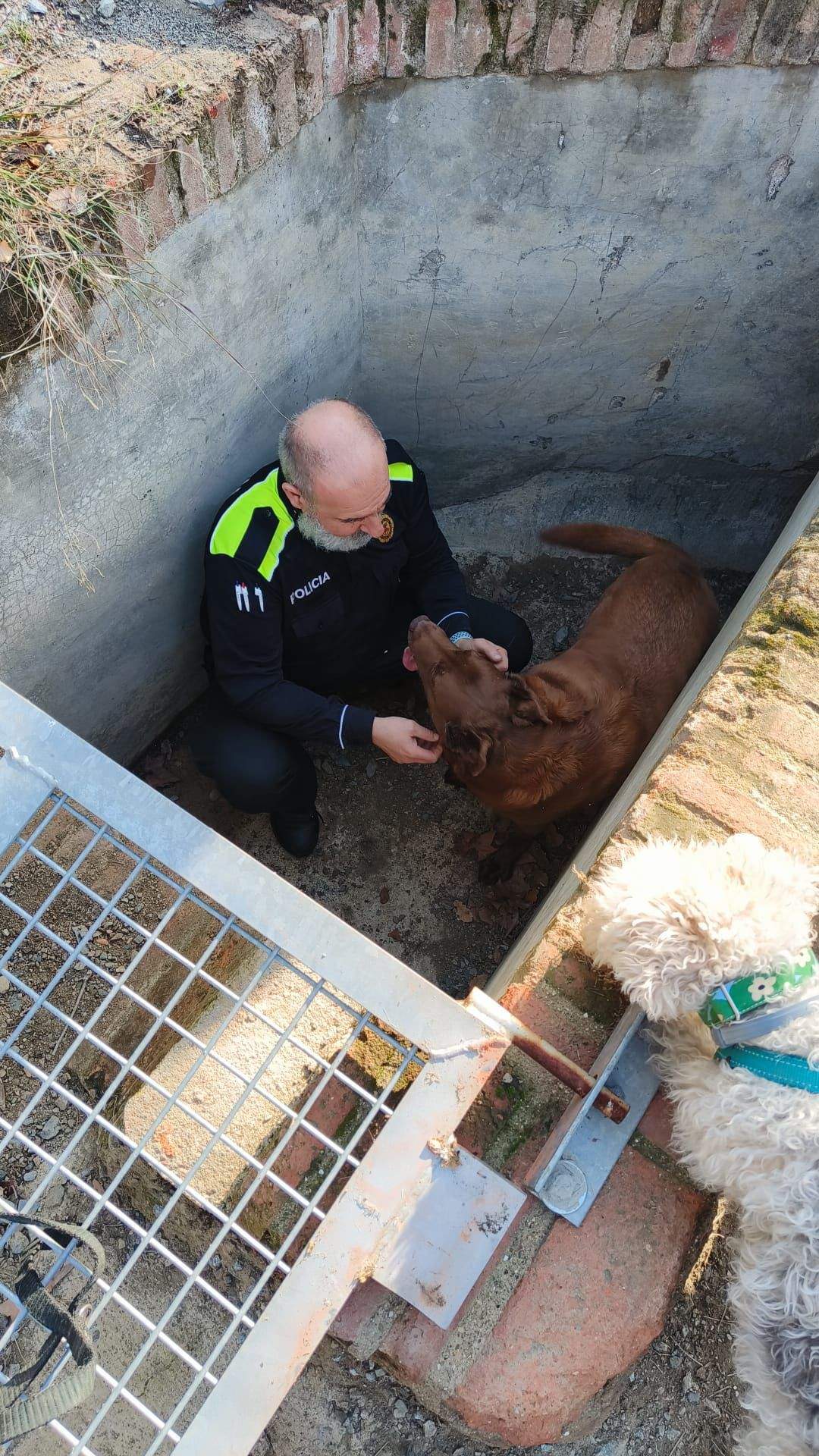 El moment del rescat FOTO: Cedida