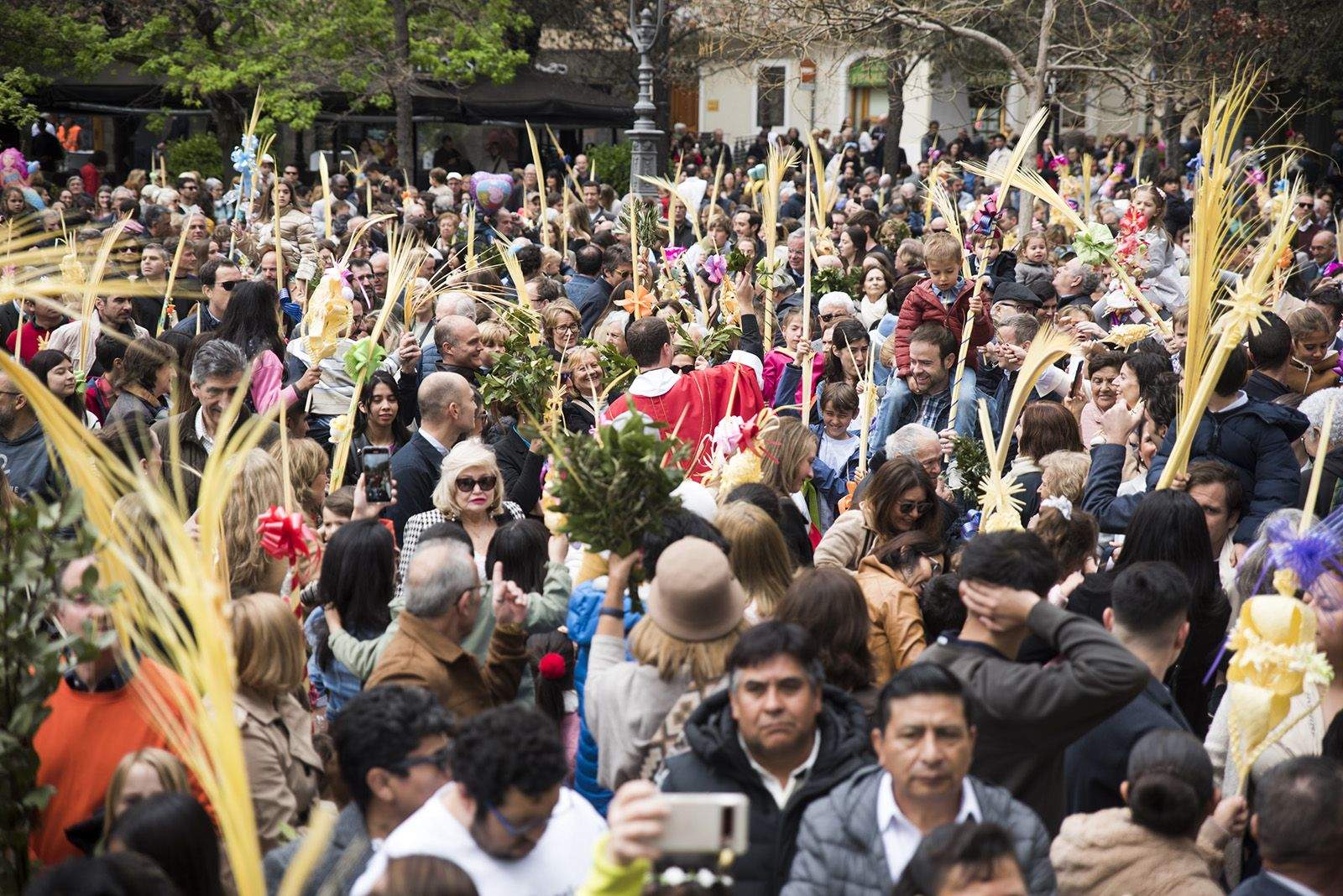 Benedicció de Diumenge de Rams. FOTO: Bernat Millet.