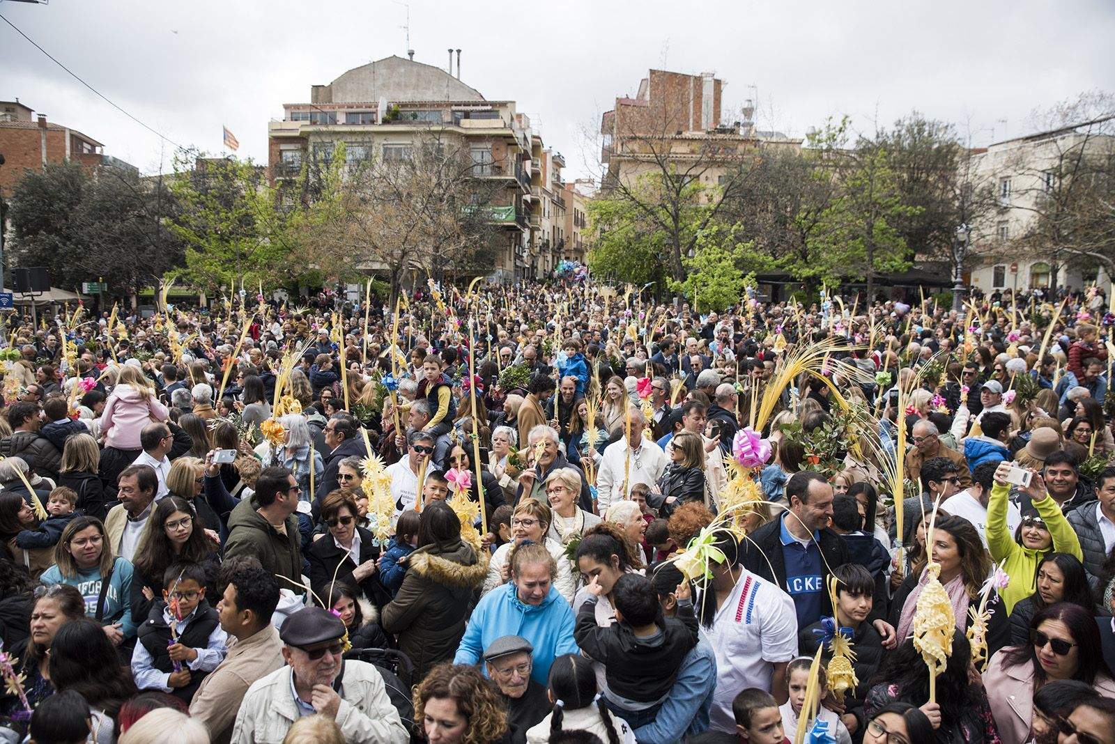 Benedicció de Diumenge de Rams. FOTO: Bernat Millet.