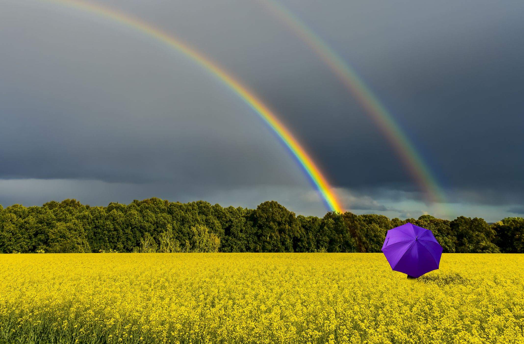 Si ens centrem en la Setmana Santa, veurem que és pròdiga en fraseologia. FOTO: Cedida