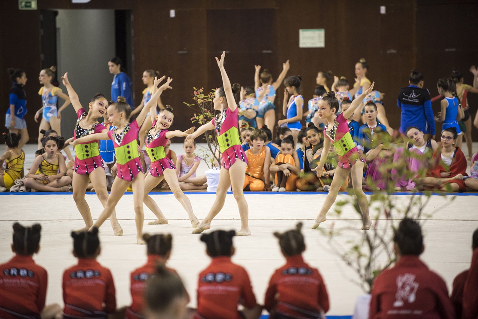 4a Edició del Trofeu Club Gimnàstica Rítmica i Estètica Sant Cugat. FOTO: Bernat Millet.