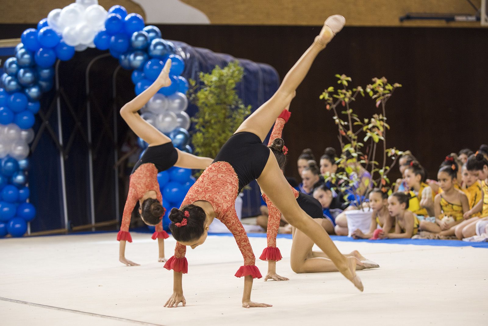 4a Edició del Trofeu Club Gimnàstica Rítmica i Estètica Sant Cugat. FOTO: Bernat Millet.