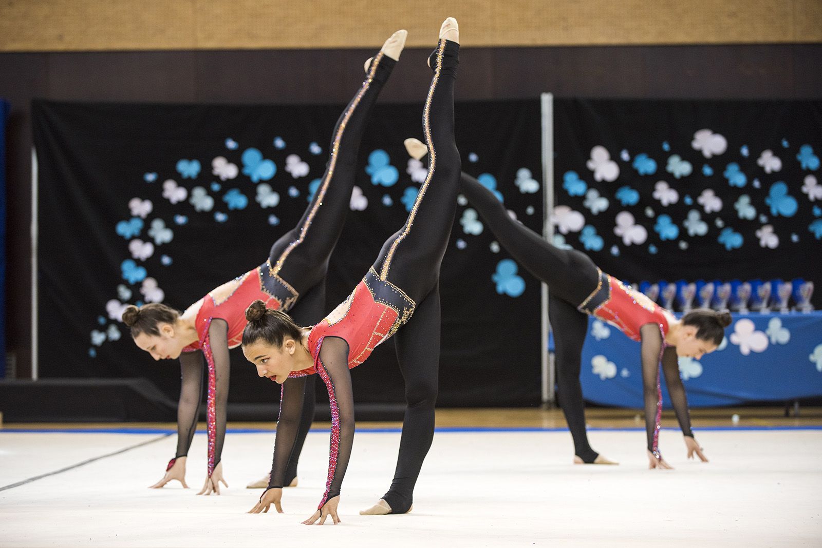 4a Edició del Trofeu Club Gimnàstica Rítmica i Estètica Sant Cugat. FOTO: Bernat Millet.