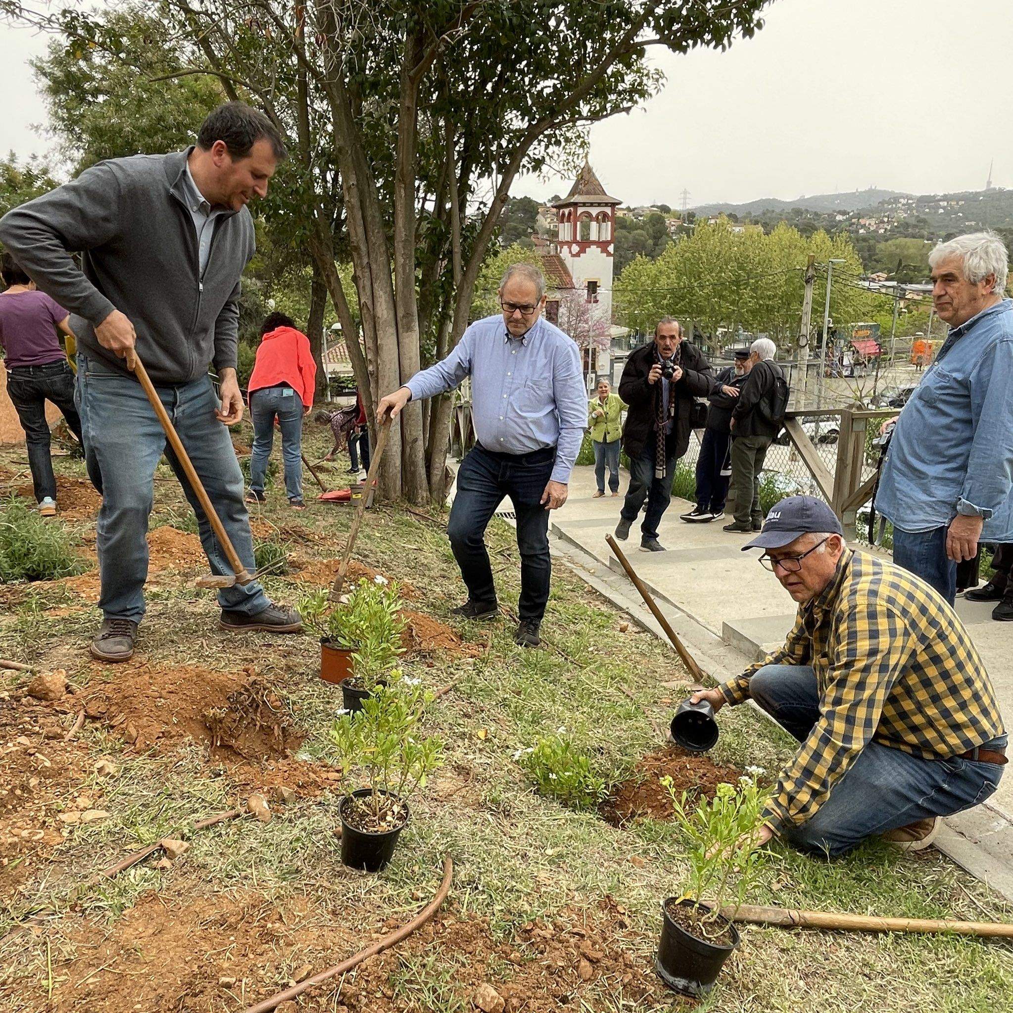 75a edició de la Festa de l'arbre a Valldoreix FOTO: EMD de Valldoreix