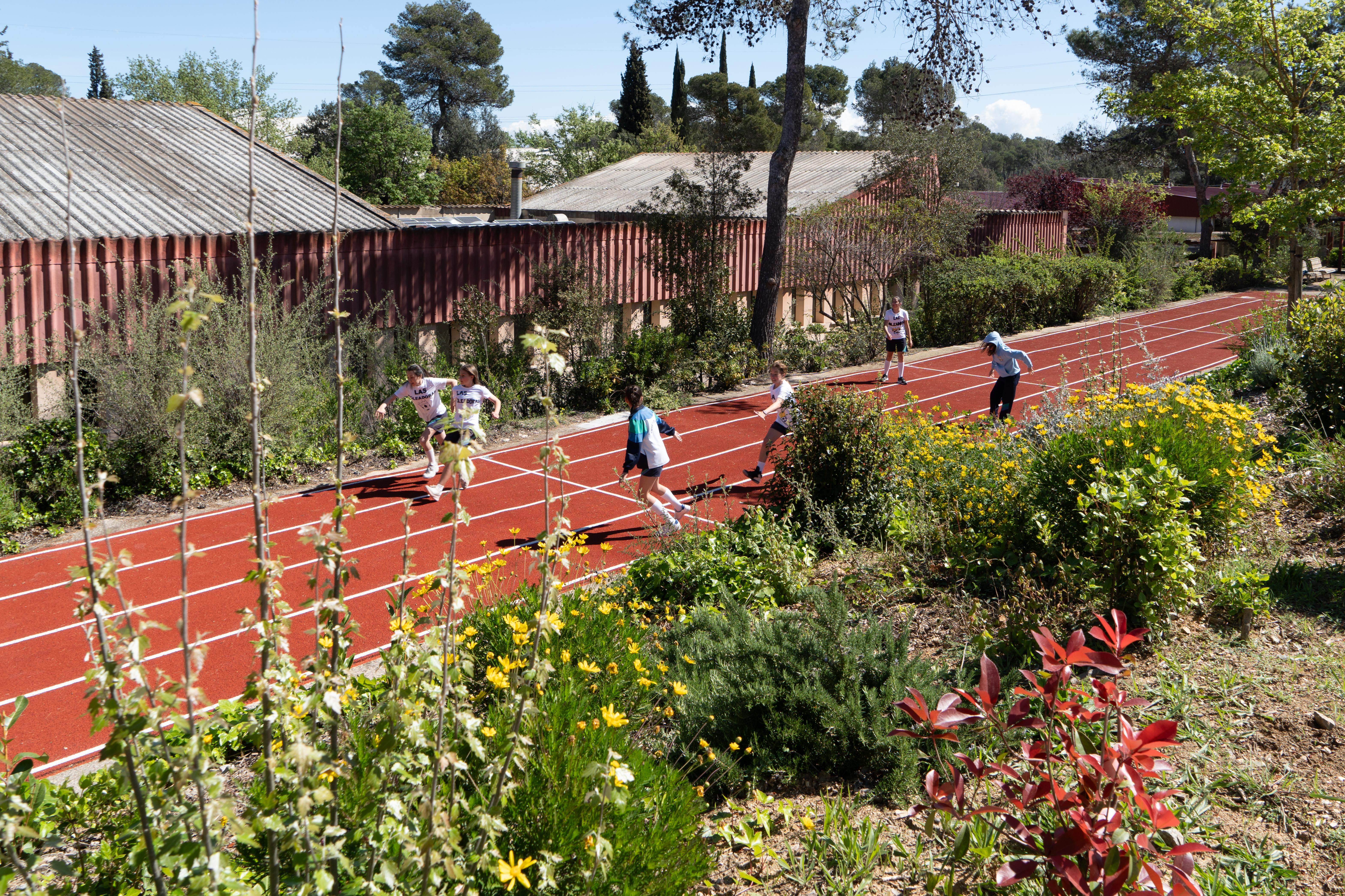 Torneig Cruyff Court a Catalònia Fundació Creativa.  FOTO: Carme de Olazábal
