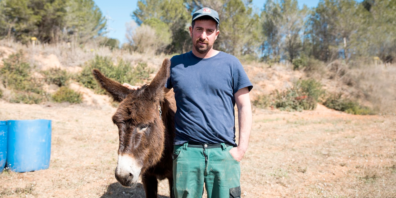 El pagès Paul Domènech amb un dels rucs FOTO: Bernat Millet (TOT Sant Cugat)