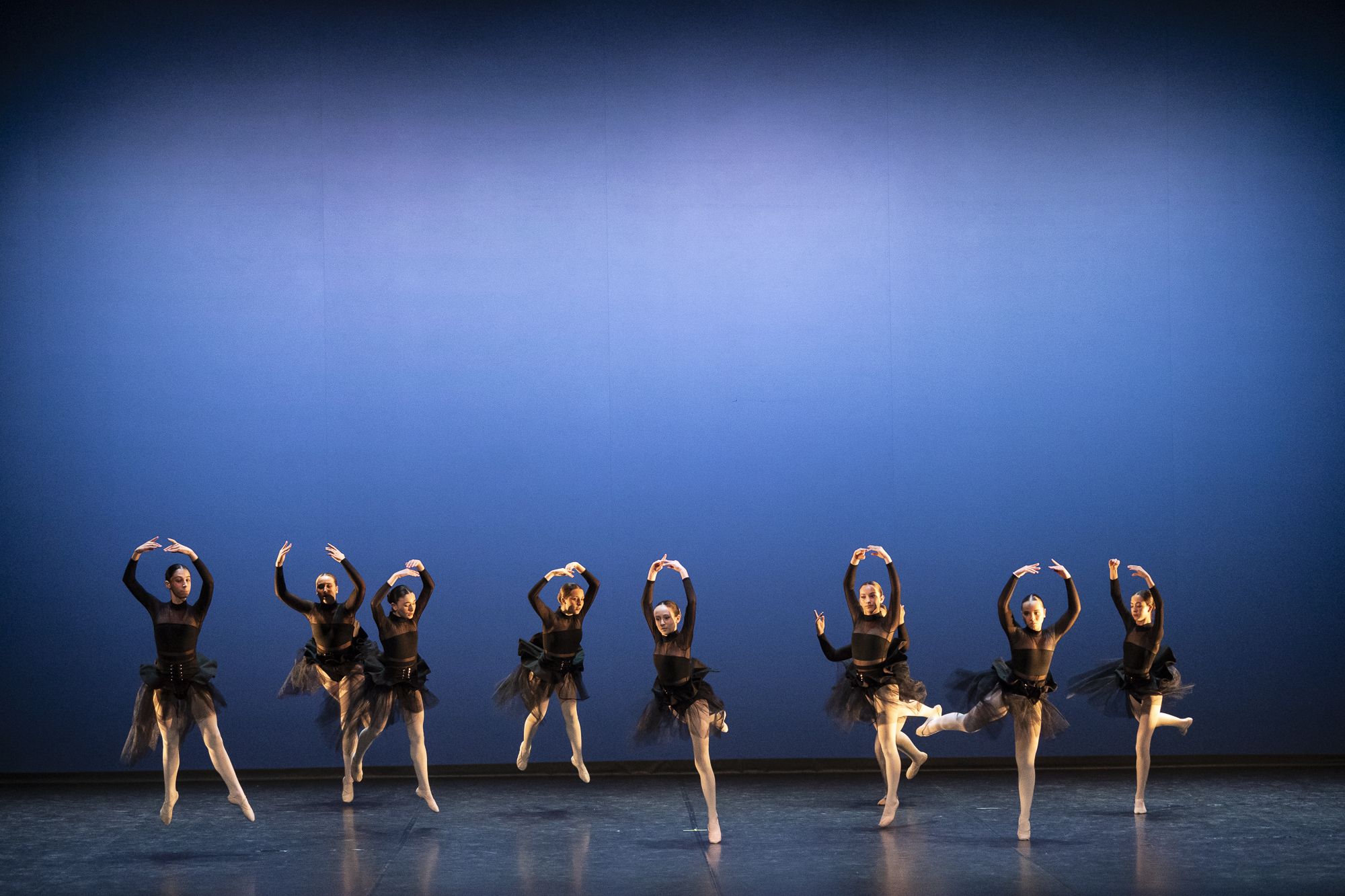 7a Gala d'AEDA FOTO: Mireia Comas 