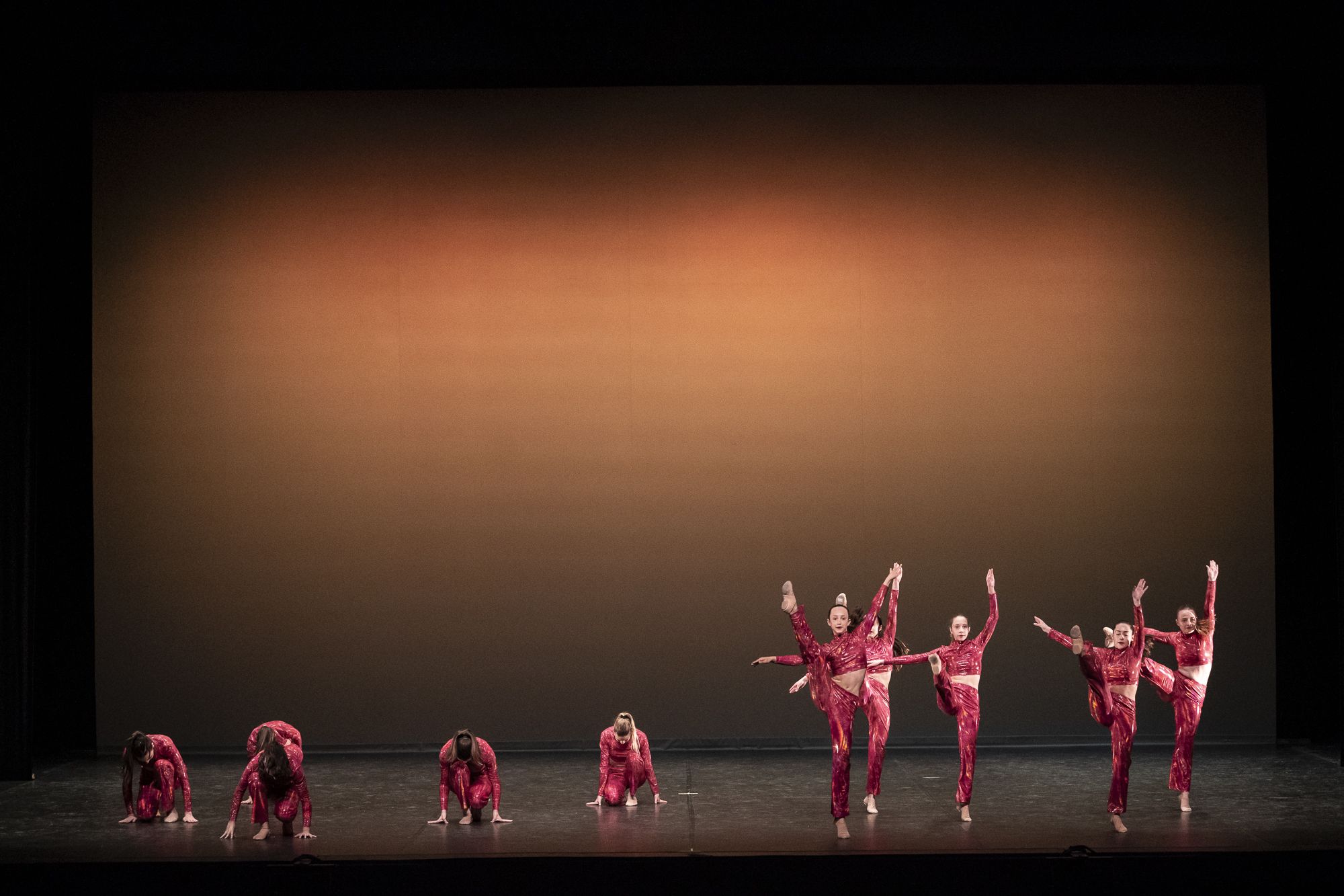 7a Gala d'AEDA FOTO: Mireia Comas 