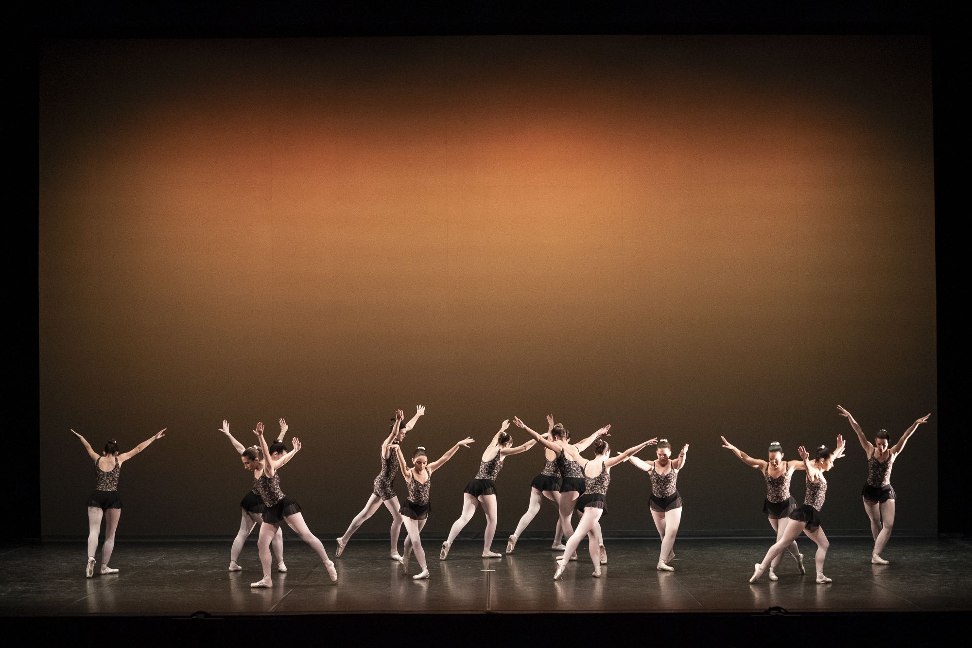 7a Gala d'AEDA FOTO: Mireia Comas 