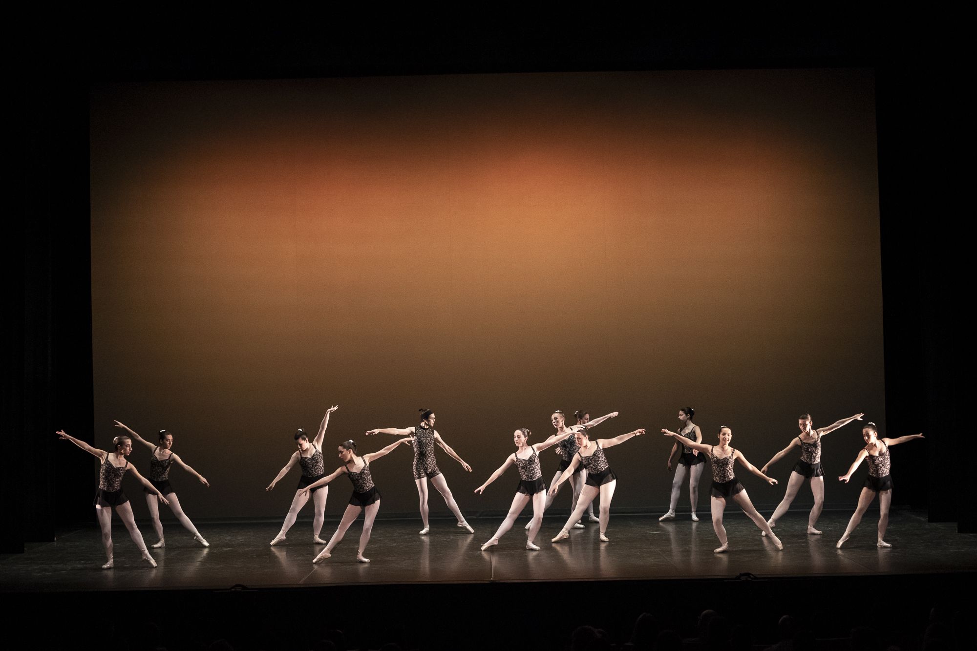 7a Gala d'AEDA FOTO: Mireia Comas 